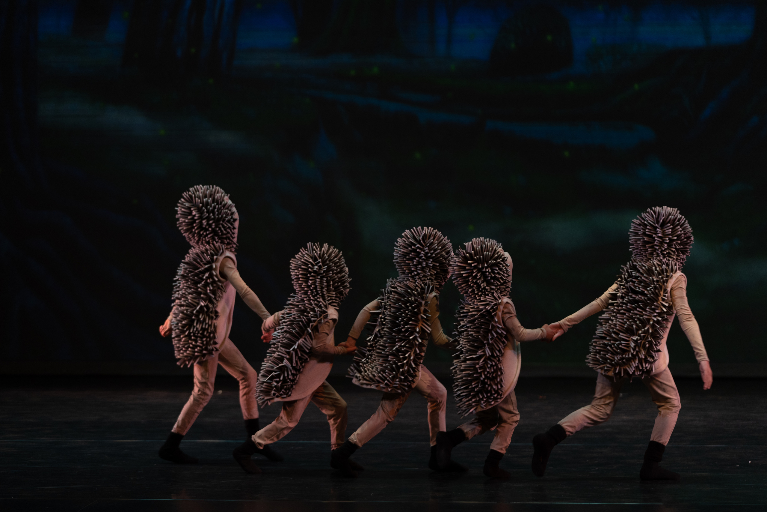 12 Dancing princesses. Santa Clarita Photographer