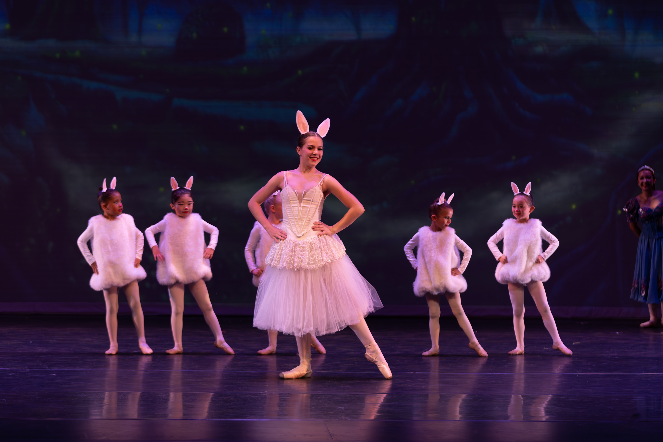 12 Dancing princesses. Santa Clarita Photographer