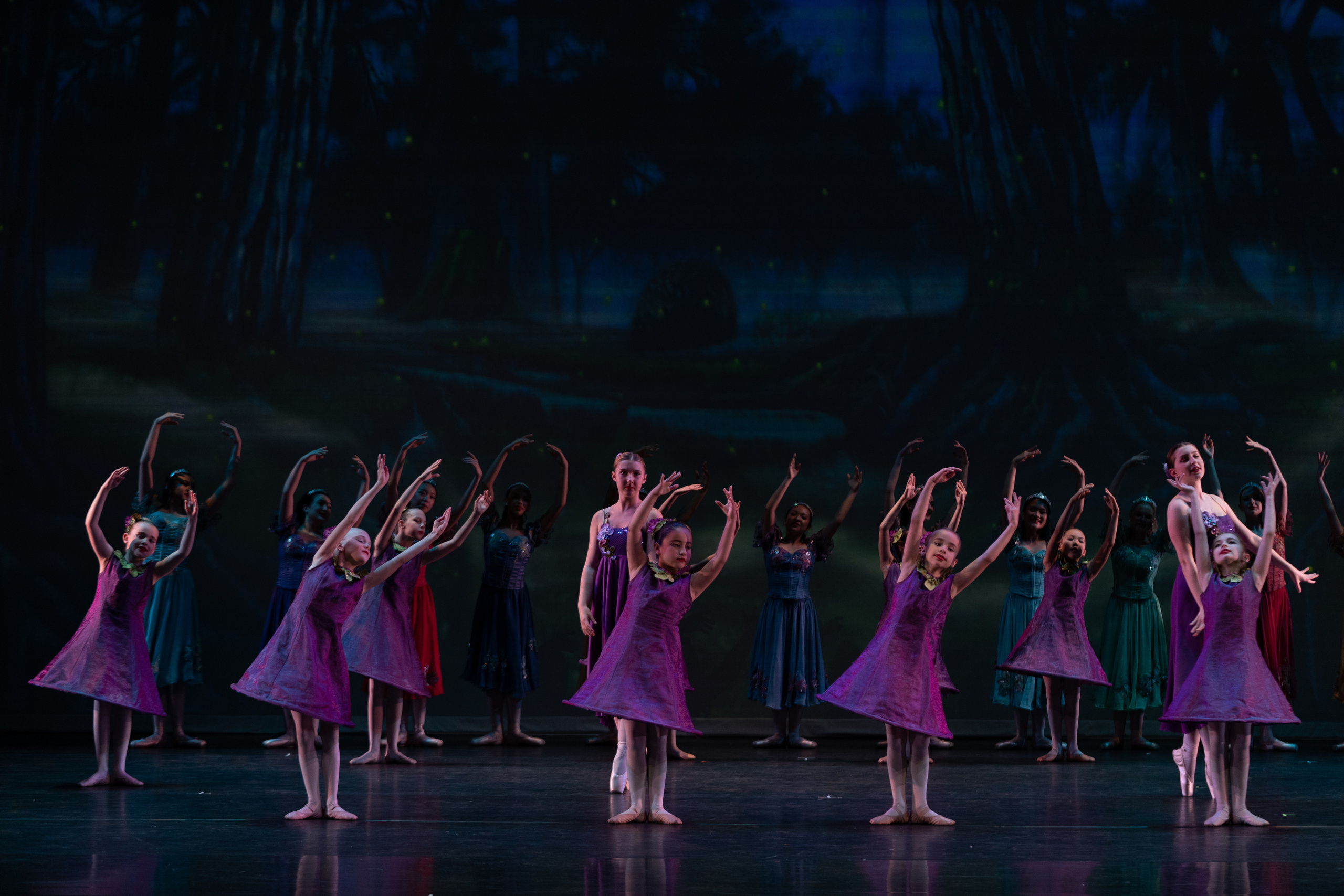 12 Dancing princesses. Santa Clarita Photographer