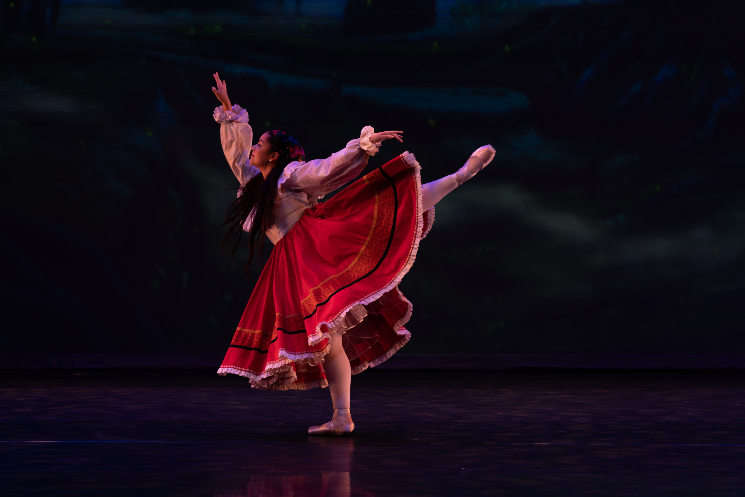 12 Dancing princesses. Santa Clarita Photographer