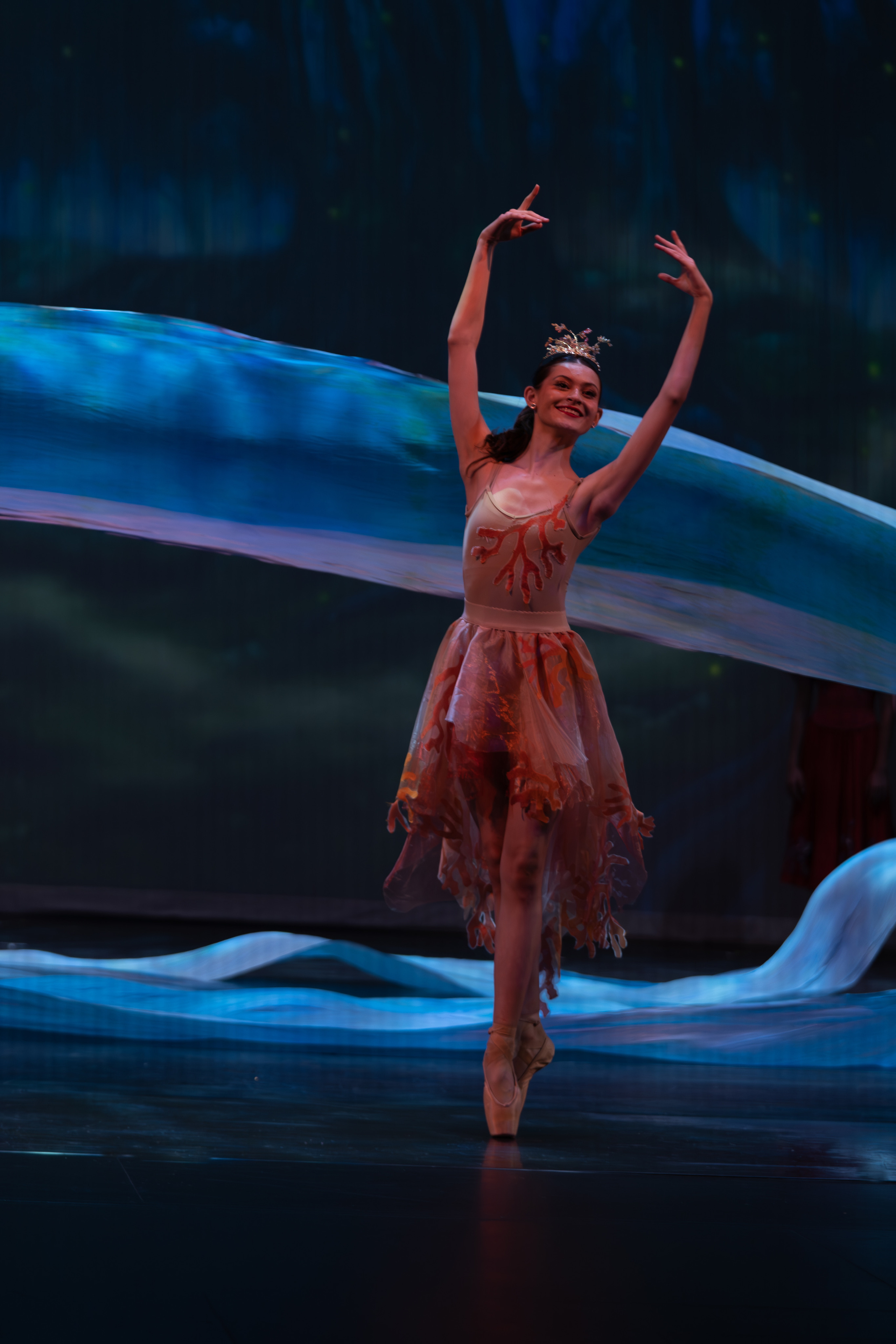 12 Dancing princesses. Santa Clarita Photographer