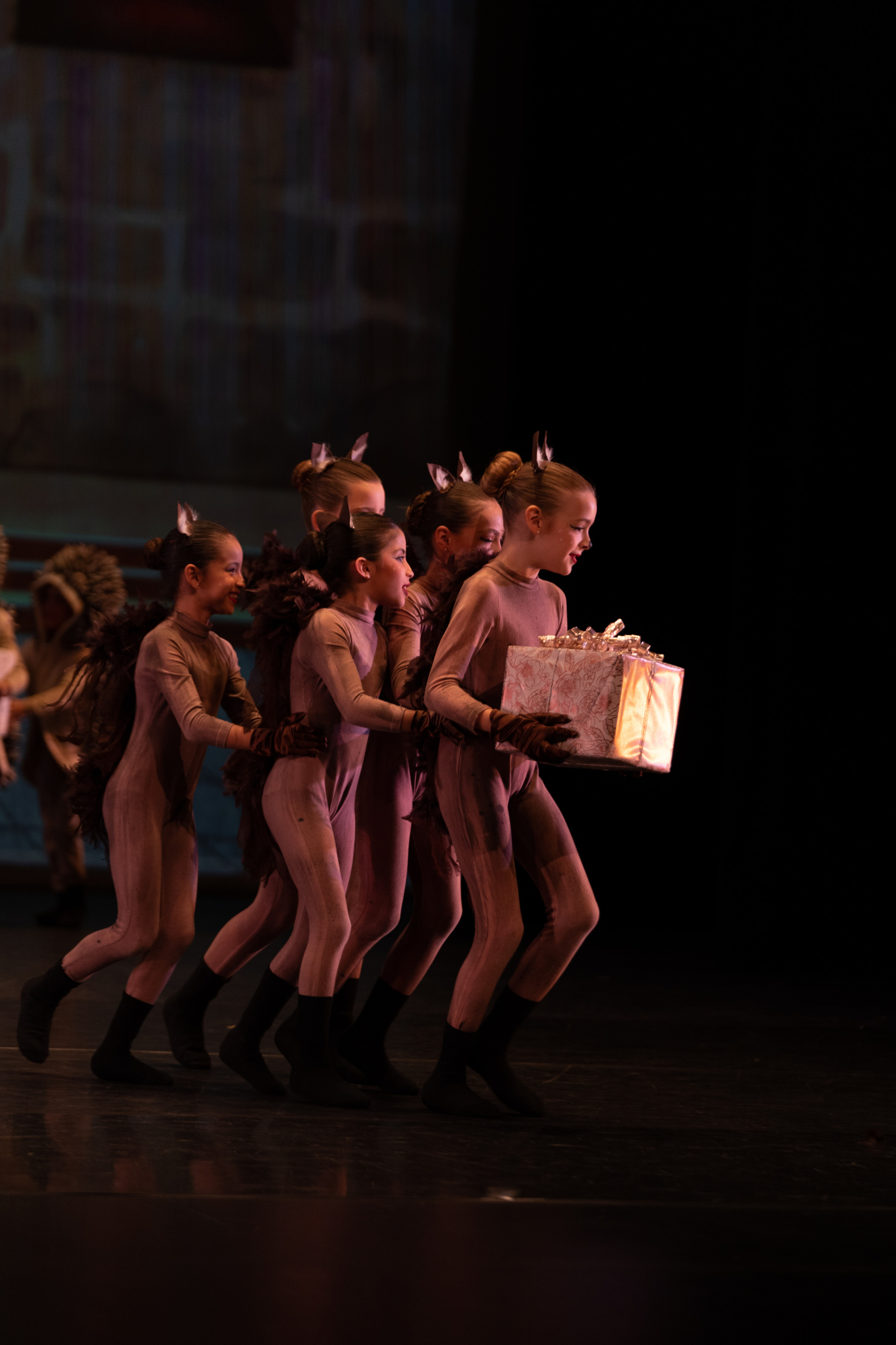 12 Dancing princesses. Santa Clarita Photographer