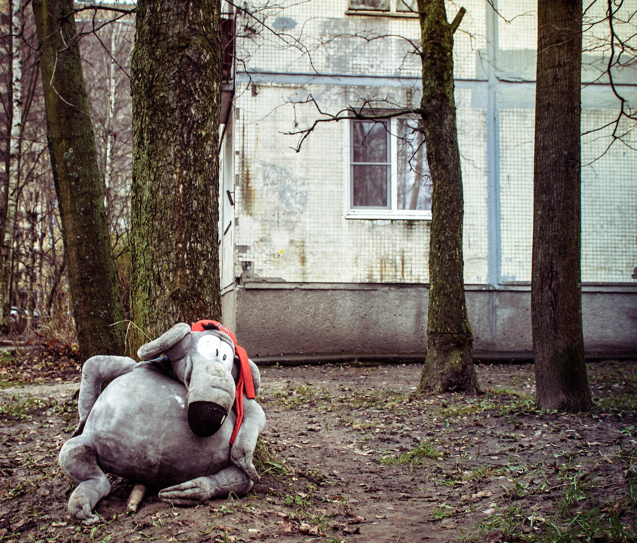 2013. Стрит-фотография, полная абсурда, идиотизма и красоты