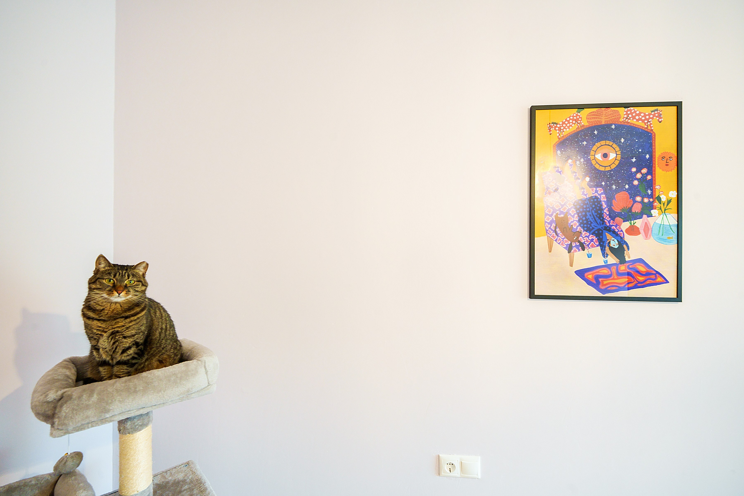 Bajorų kelias 1. Elina Sapiega fotografė Vilniuje