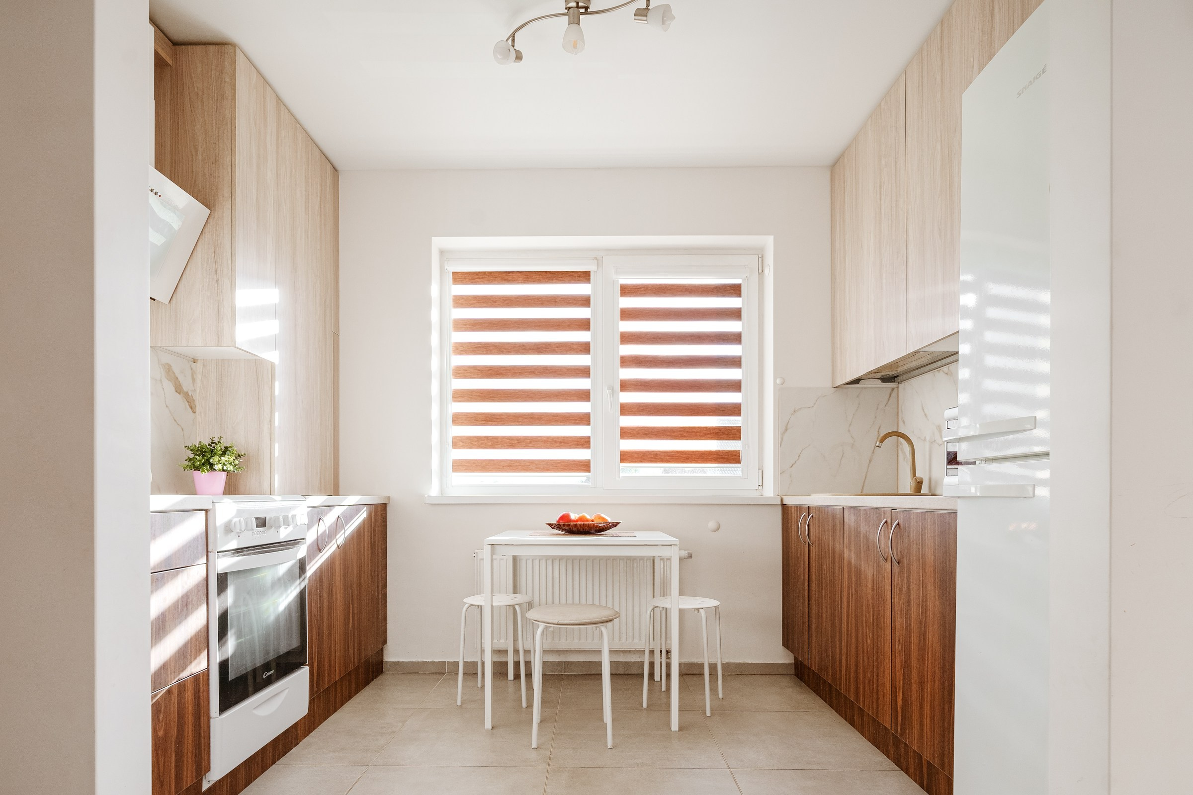 N.Lentvaris. Elina Sapiega fotografė Vilniuje