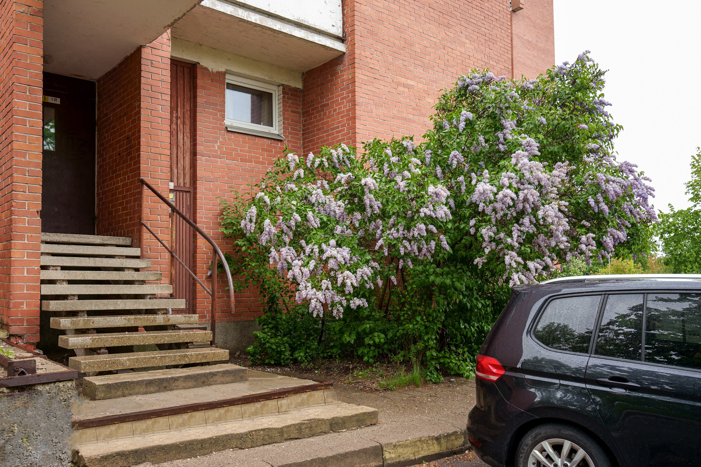 Ateities g. 1. Elina Sapiega fotografė Vilniuje