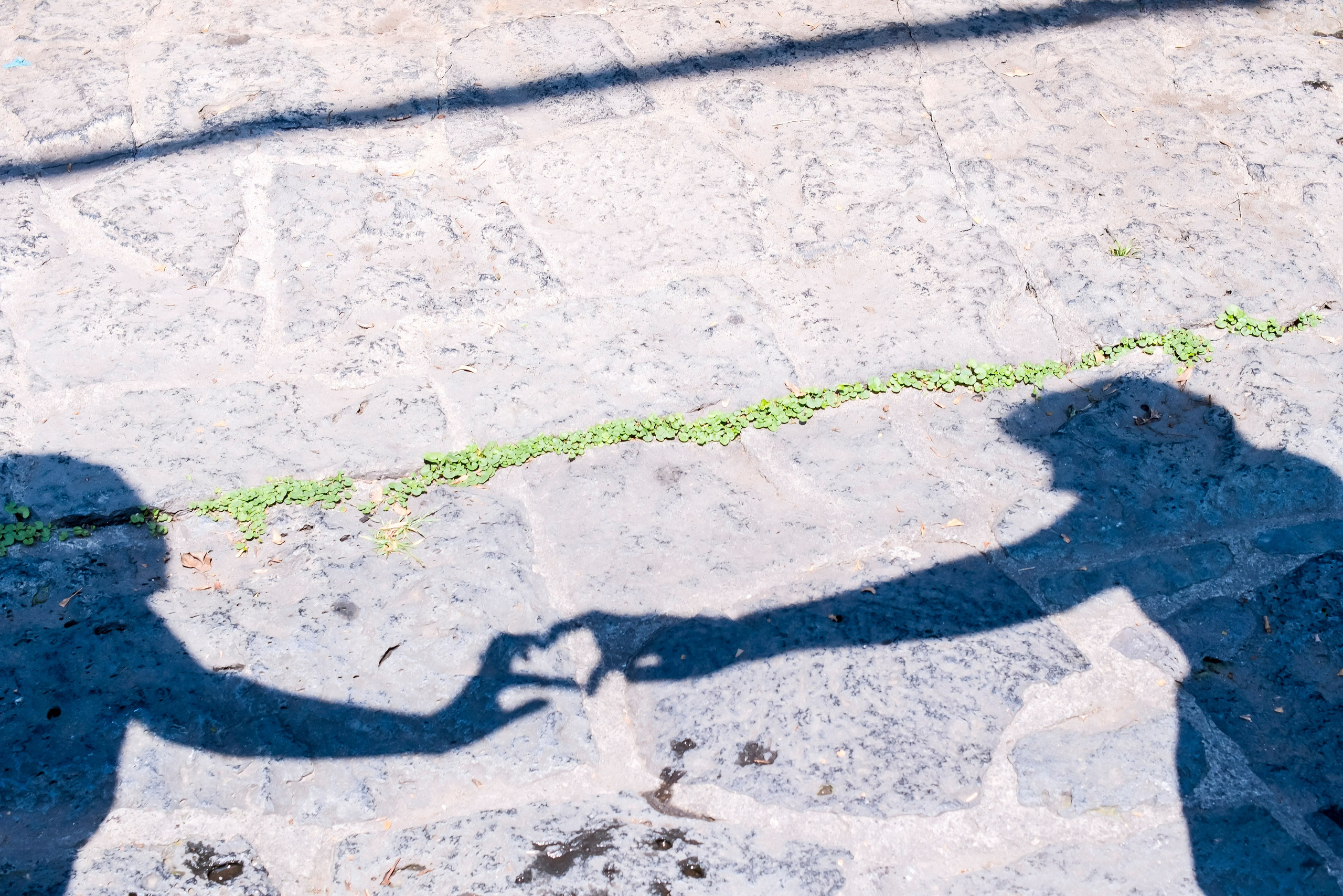 Isabel & Charli. Wedding and family photographer in Mexico City