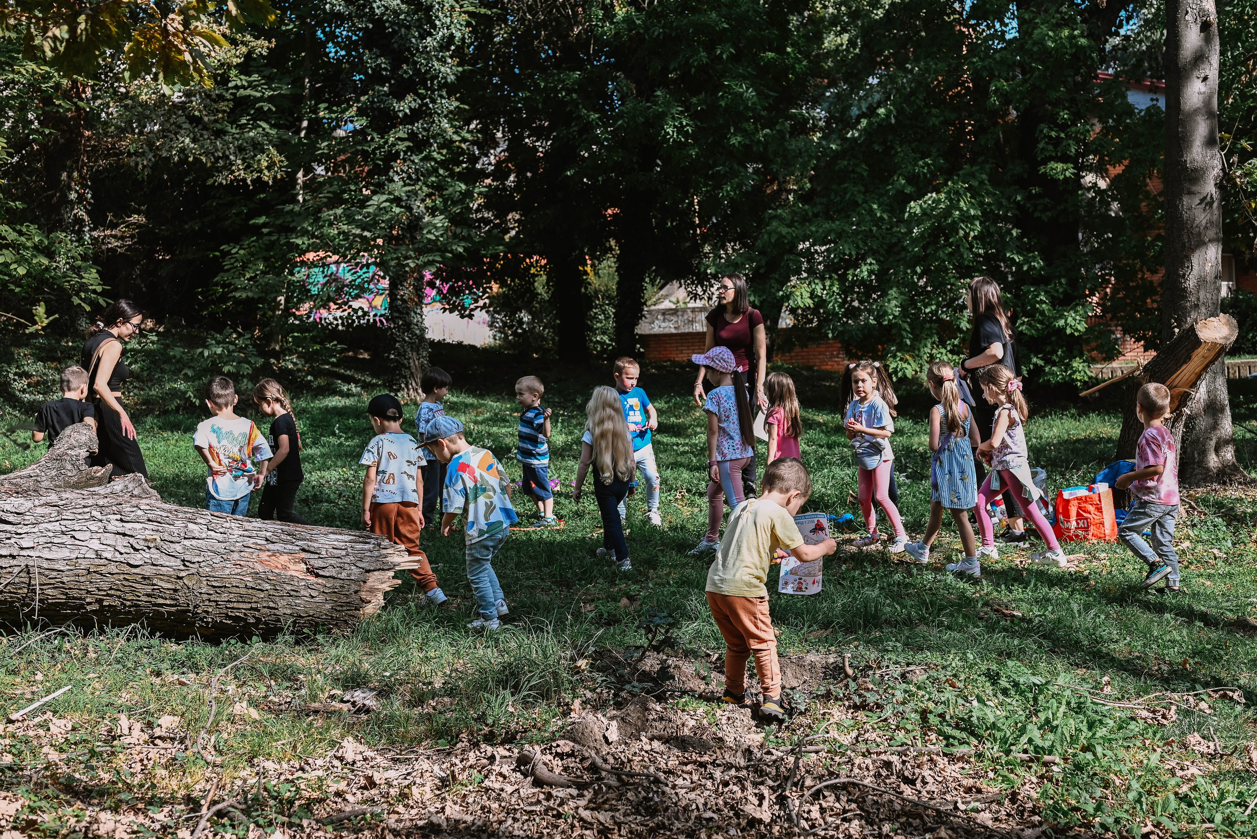 Novak 5. rođendan. Dečiji i porodični fotograf