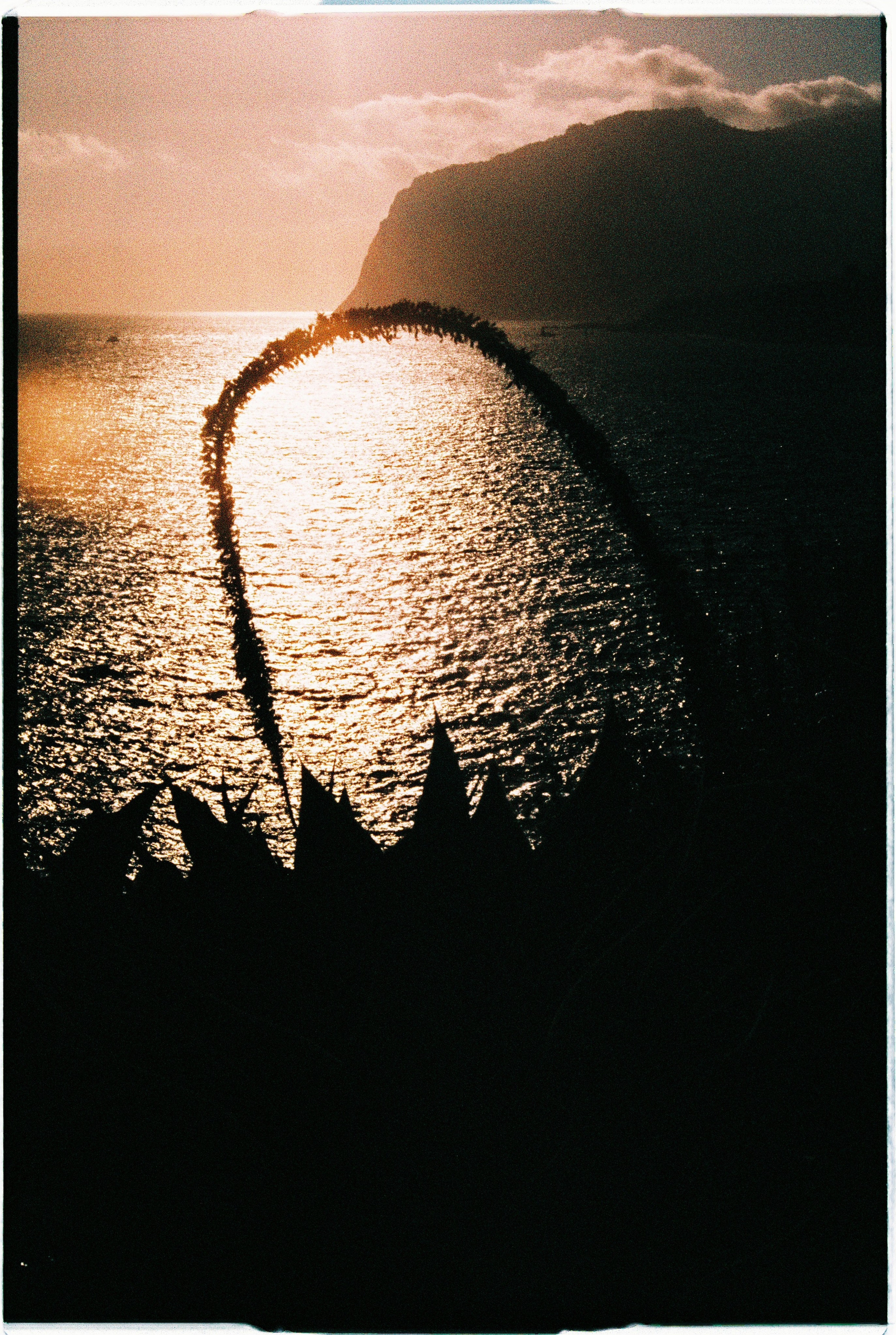 Madeira on film. Portrait photographer in Madeira — Marina Shtukina