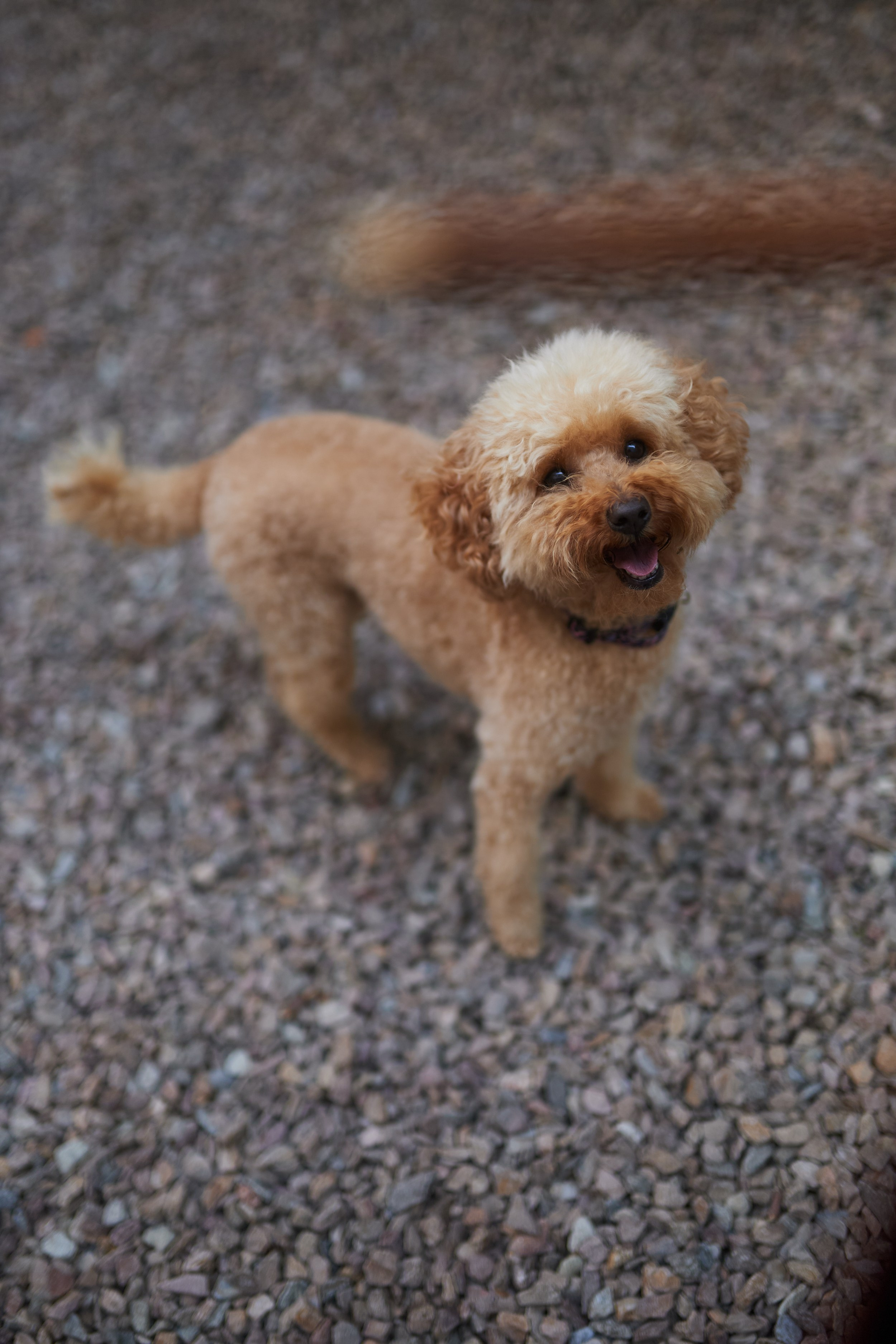 Amsterdam. Personal, fashion, business Photographer in Netherlands