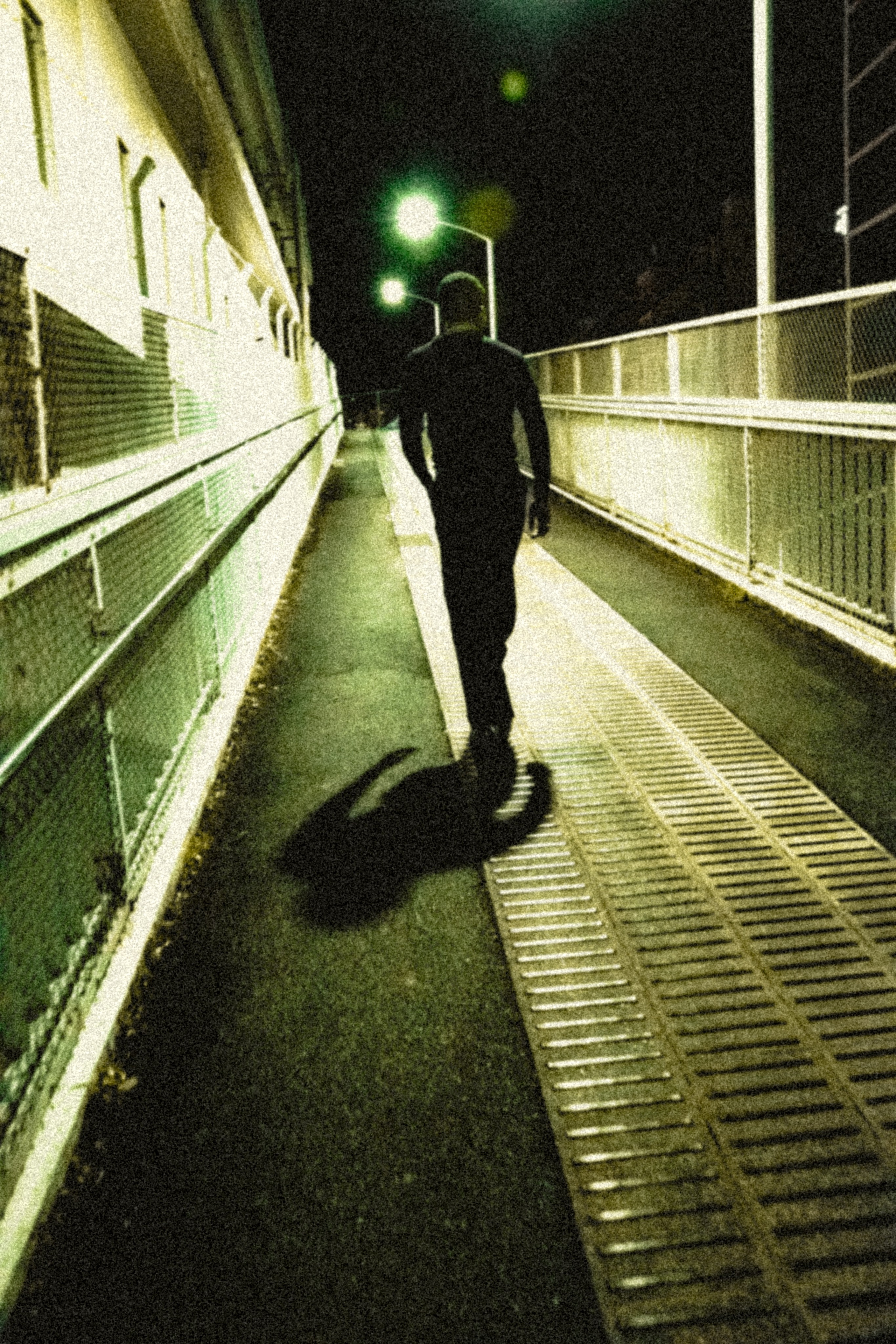 FAROQIE　PROJECT. Anna Miyauchi