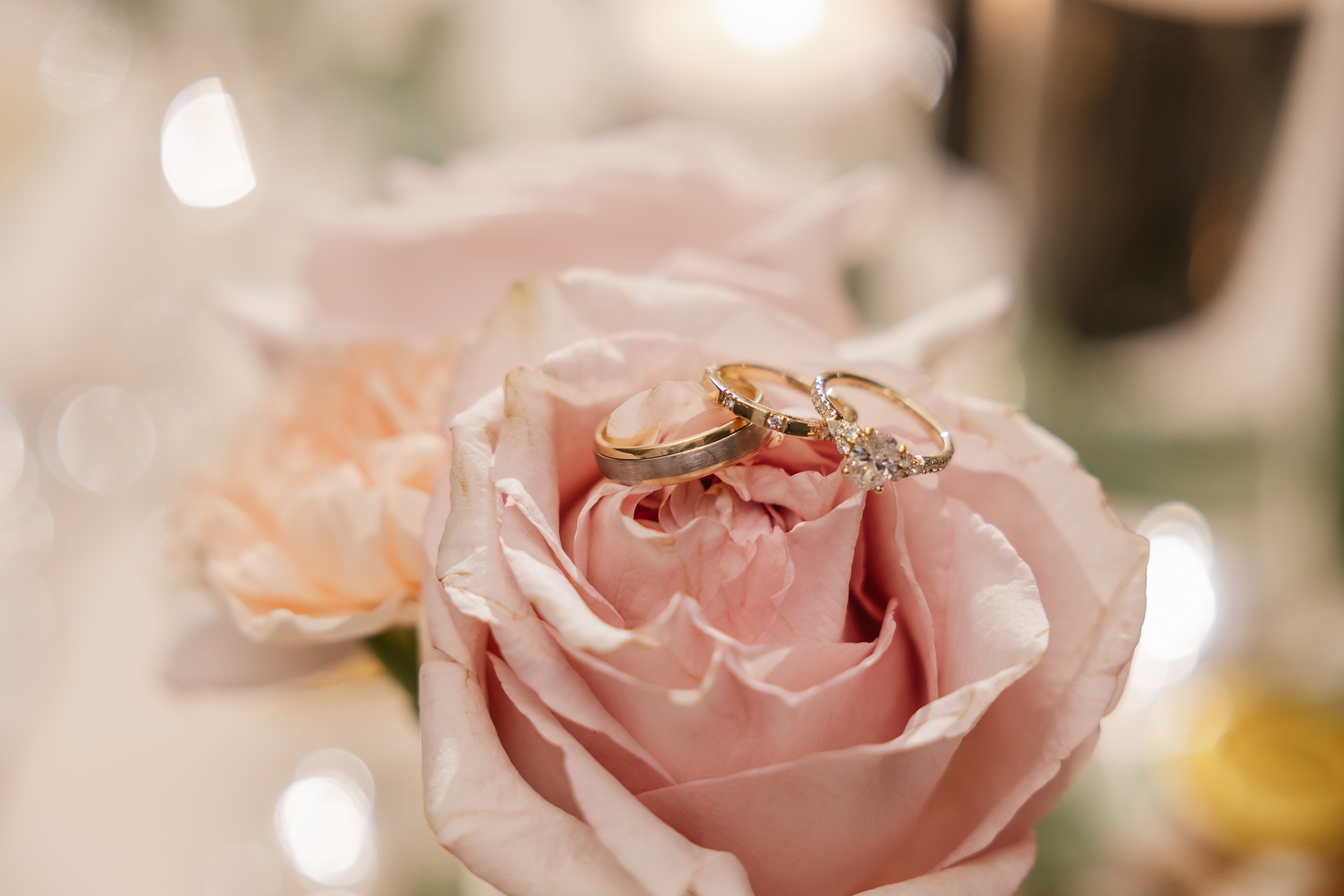 09.06.2025 Wedding. Wedding family event photographer in Chicago Nick Yushevich