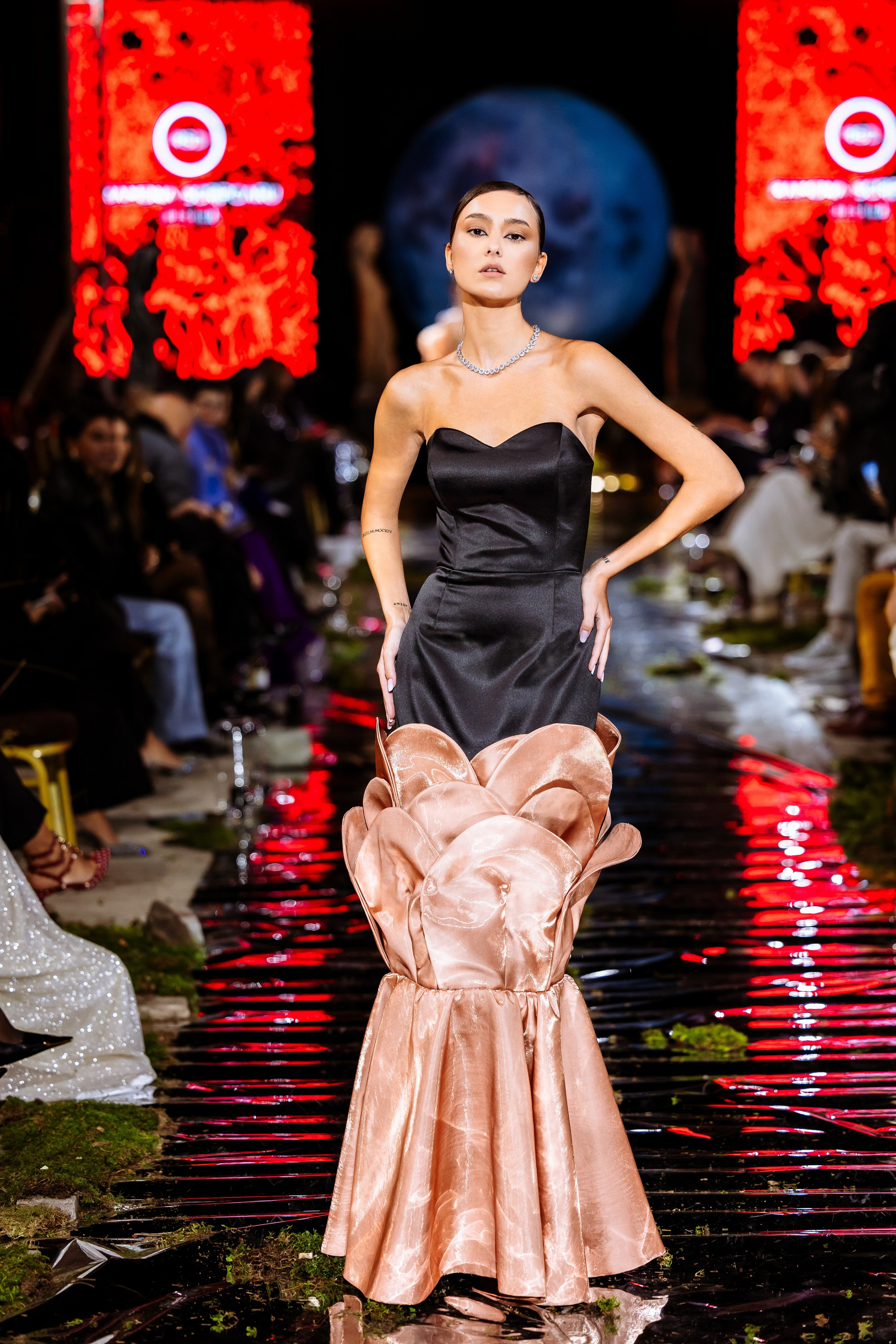 Prive. Marius Ciocan