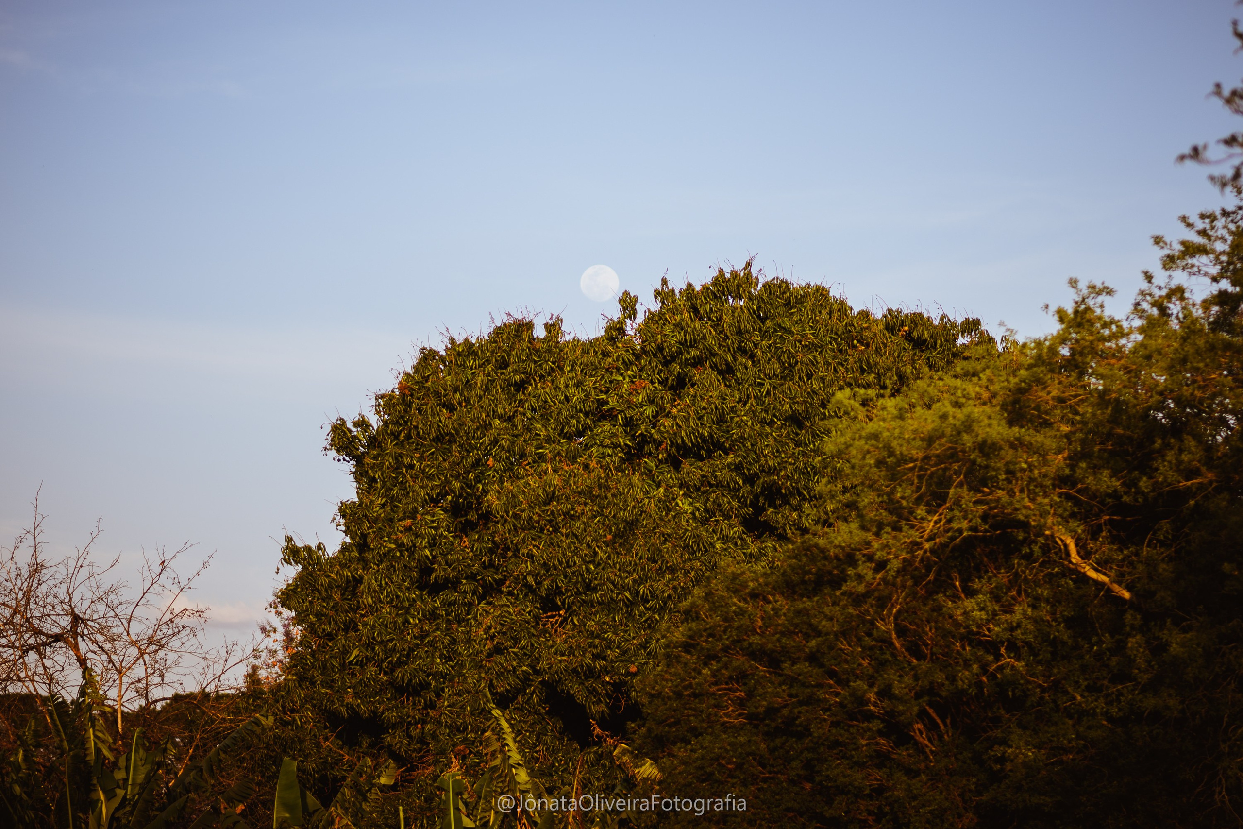 Pre Wedding Luérica e Vinicius. Fotografia de casamentos e ensaios em avaré Jônata Oliveira