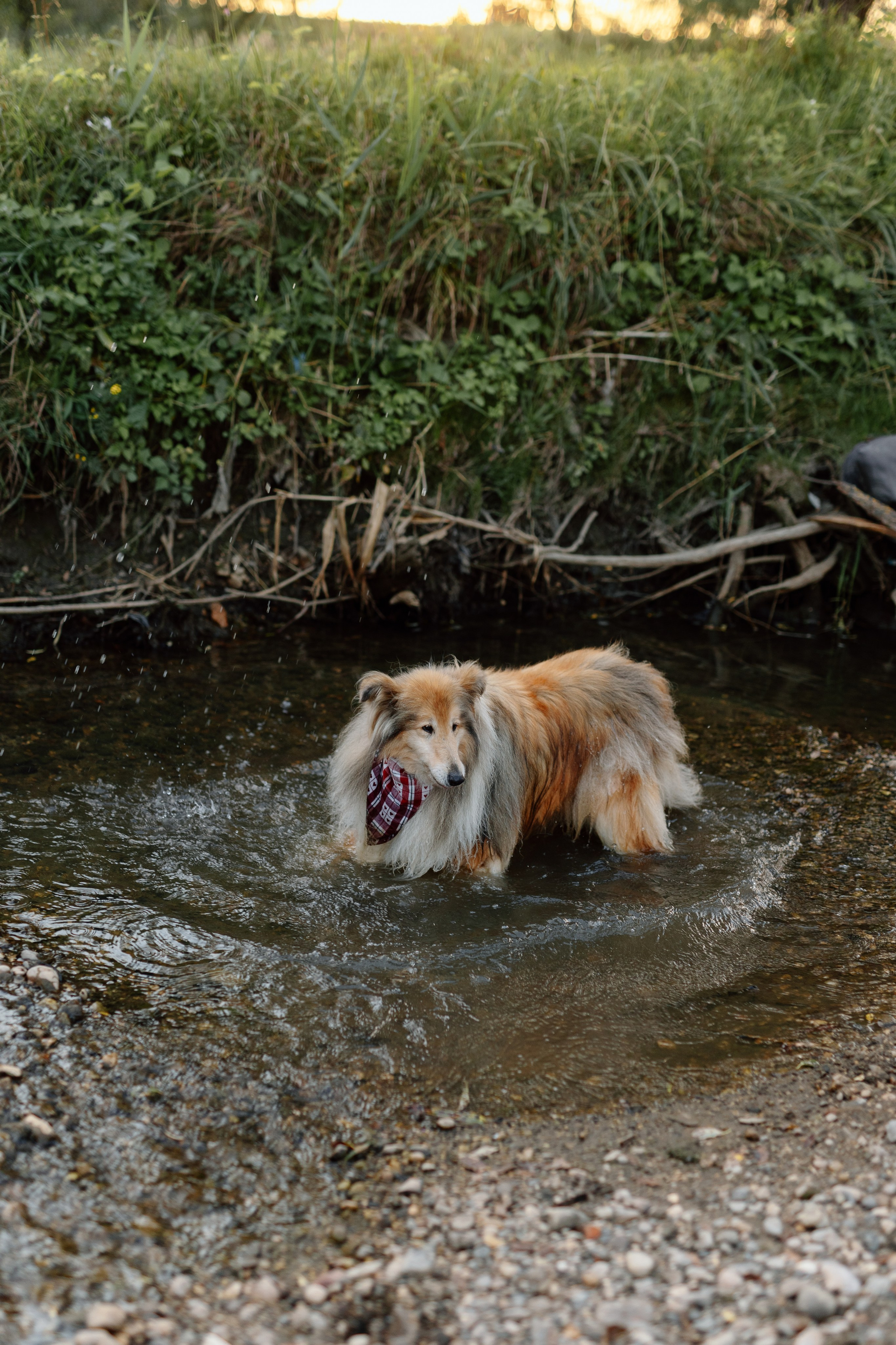 Cristina, George & Ian — Family. Main