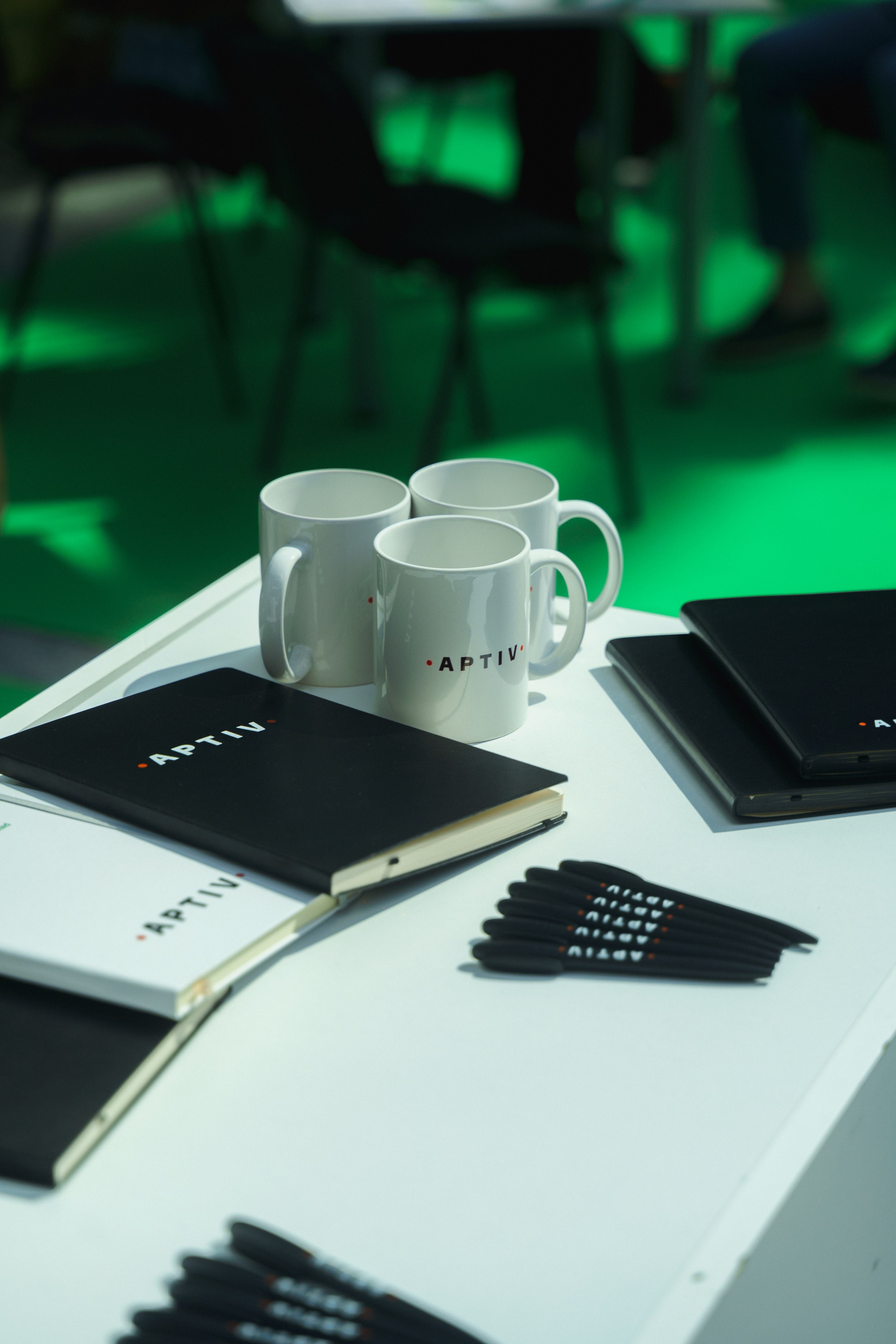 EV Days in Novi Sad 2023. Zhukov studio