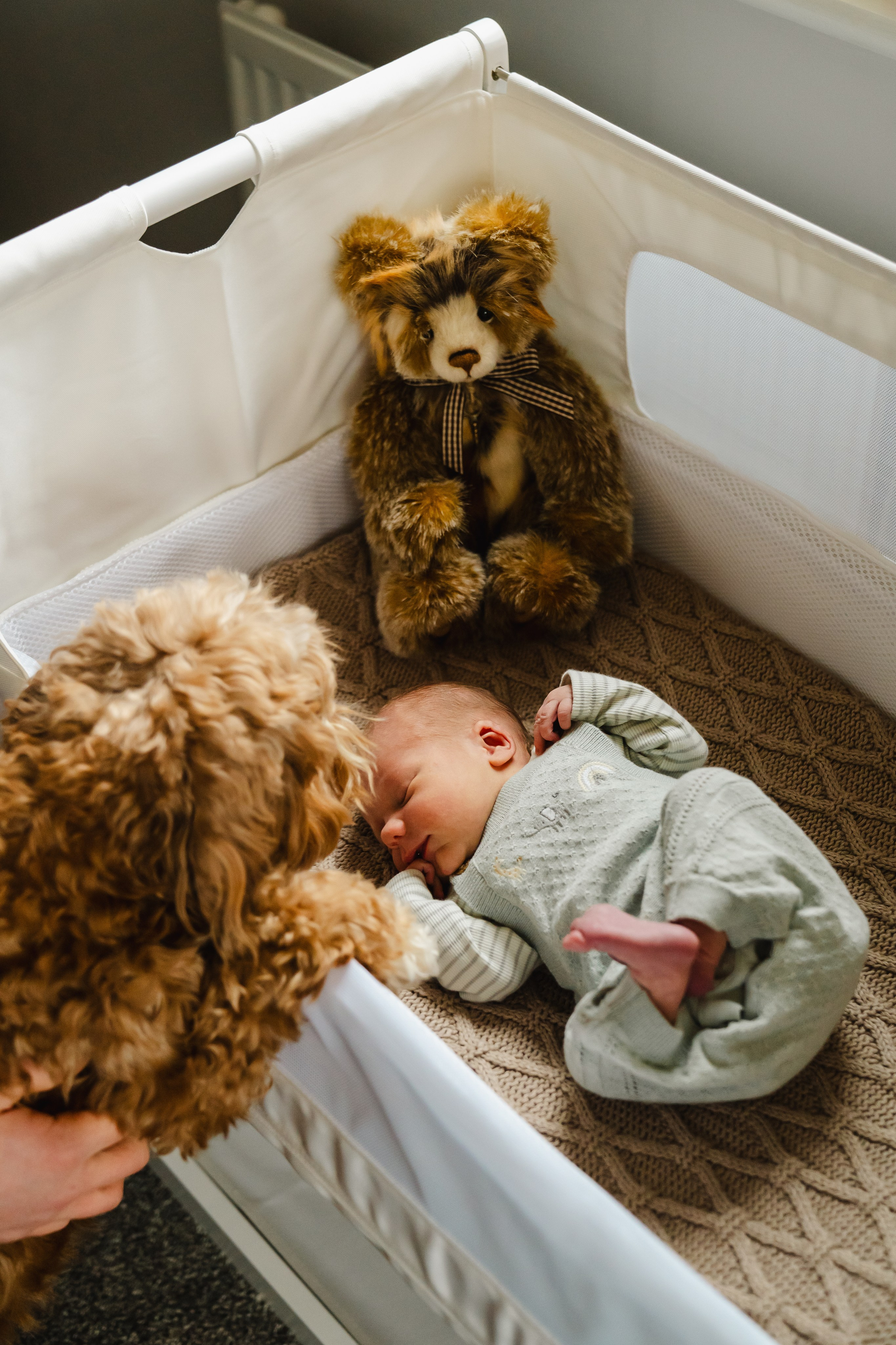 Newborn in-home photo session. Newcastle Upon Tyne Photographer Yana Balatskaya