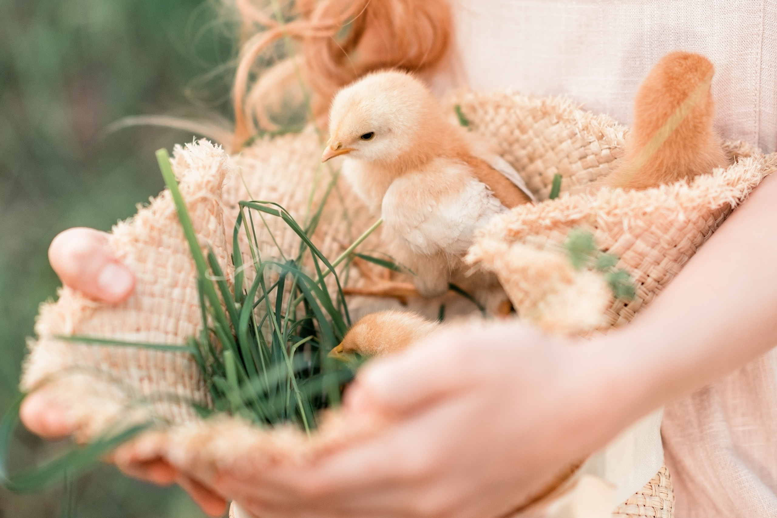 Оранжевое солнце. Фотограф / Даугавпилс / Studija Natalie / Наталья Евменова