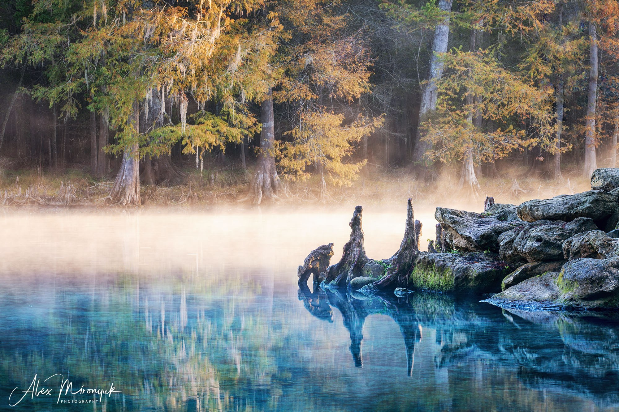 Exploring True Florida: Springs, Rivers & Manatees by Canoe. Pet, Senior, Landscape, portrait studio, photographer in Miami and Sou