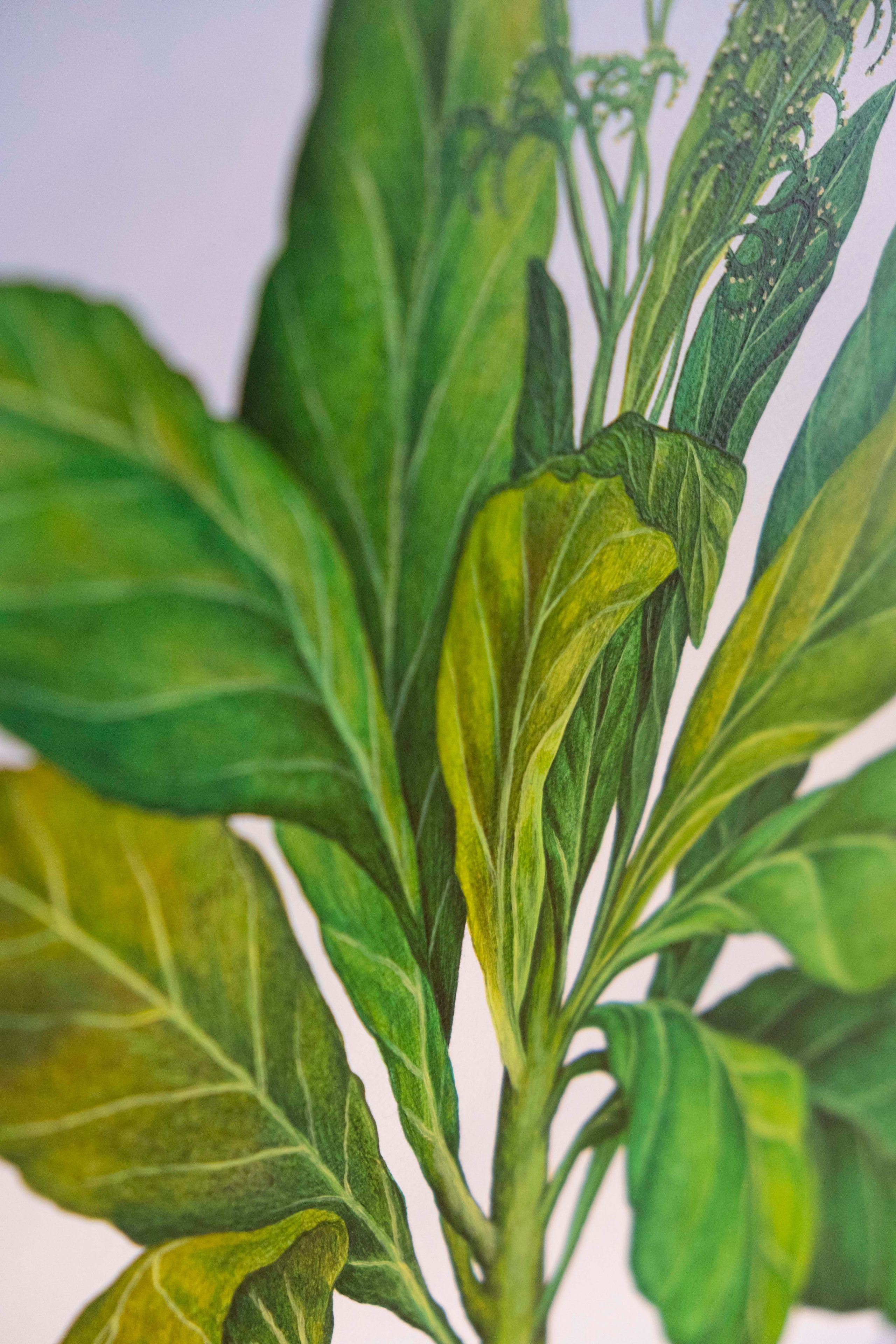 Botanical Etude No. 15. ELEN BEZHEN