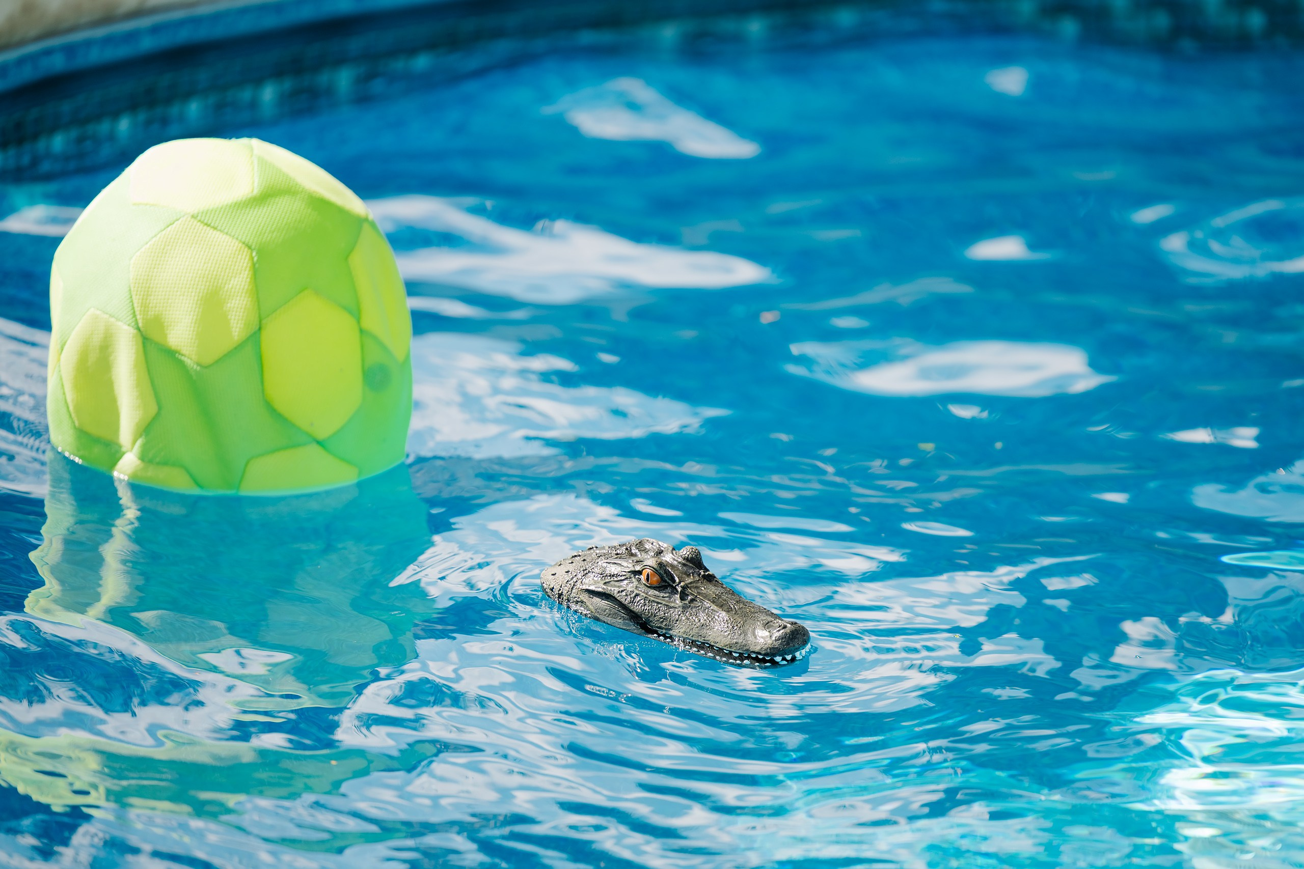 Birthday Party. Wedding family event photographer in Chicago Nick Yushevich