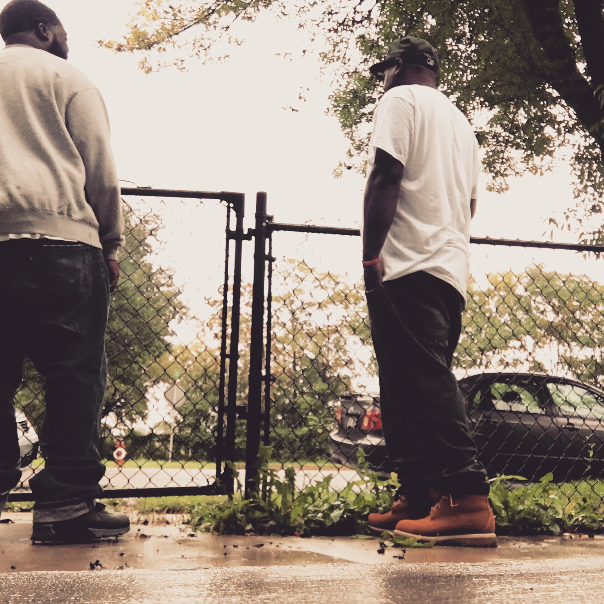 Lens Work From the Field 2