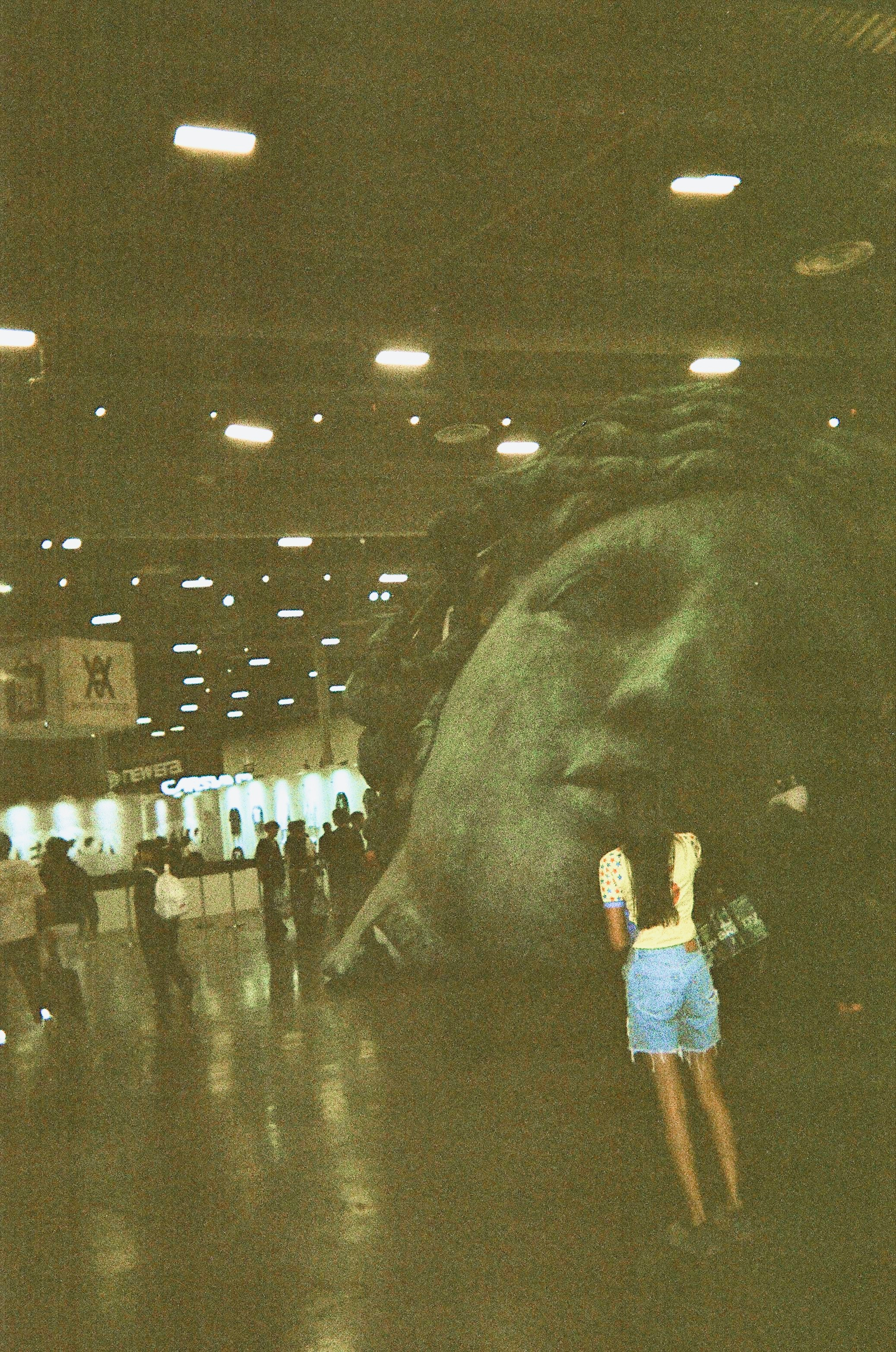 Mario Brown’s Lens Work