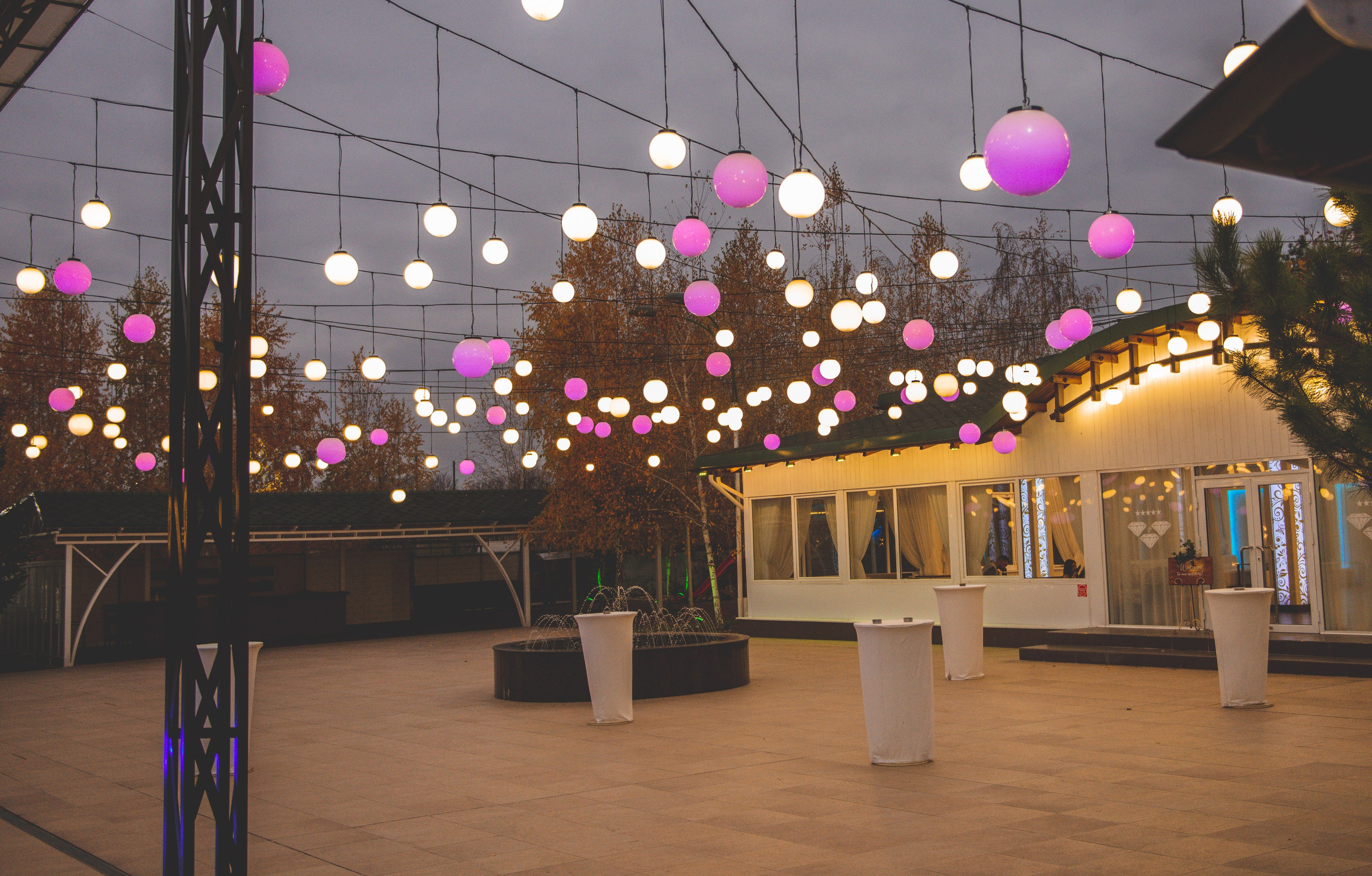 V+M. Fotograf de familie Vitalie Budoianu