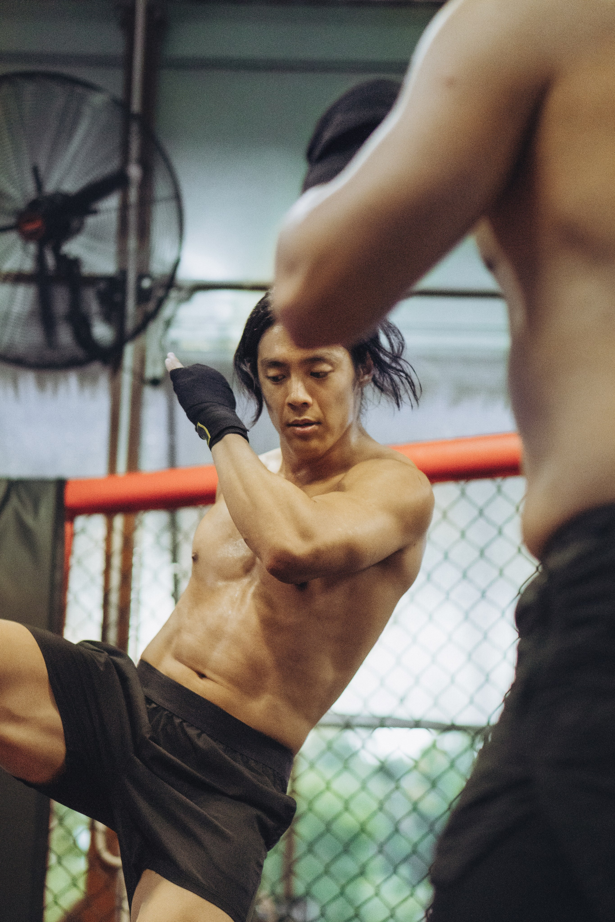 FITCULATOR. Nova Fitness Retreat | Fitness & Wellness Retreat in Phu Quoc, Vietnam