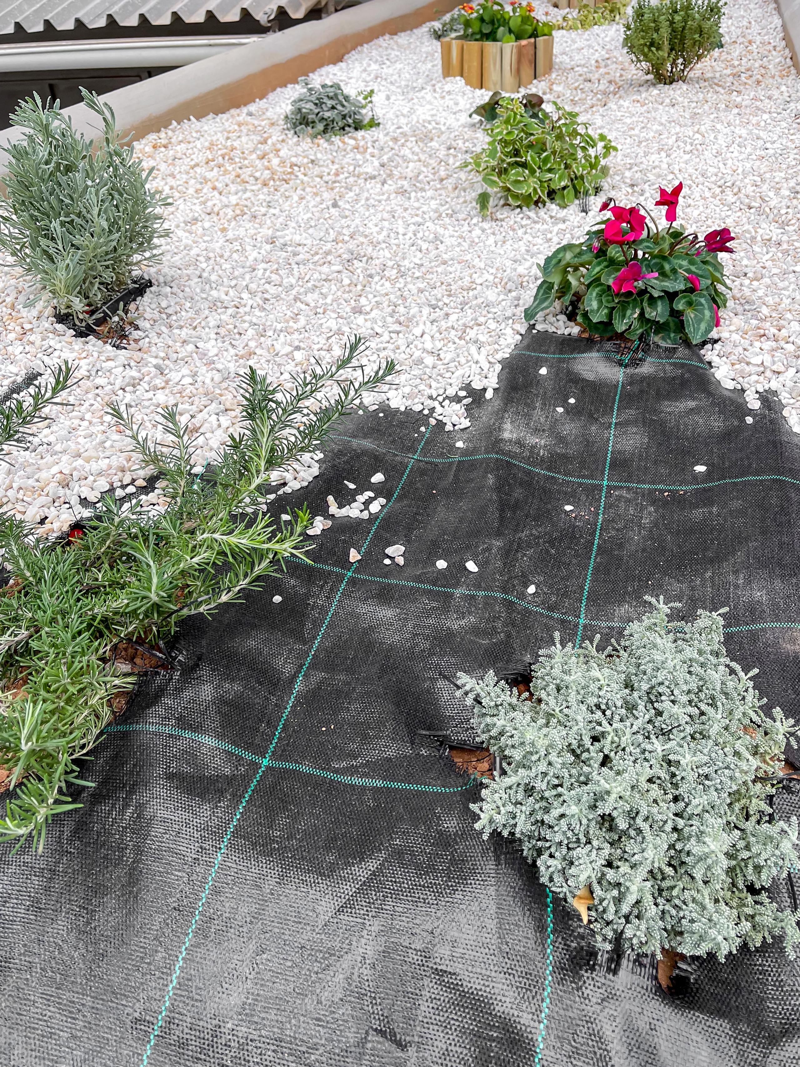 Κήπος Περιστέρι. Geoponitikon-Όταν η Επιστήμη συναντά την Τέχνη στο Φυσικό Τοπίο!