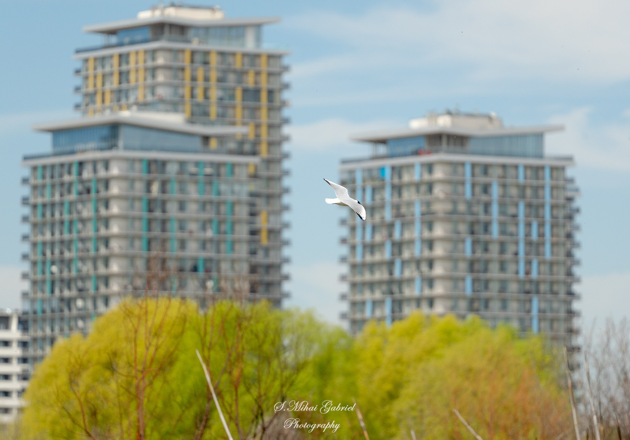 Natura. Foto Studio — Fotograf de evenimente, nunti, botezuri, portrete