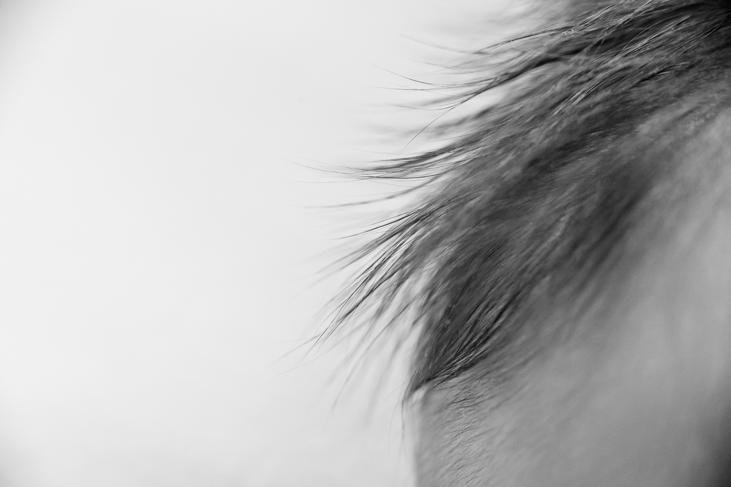 Baby Girl. Фотограф Ирина Йотова