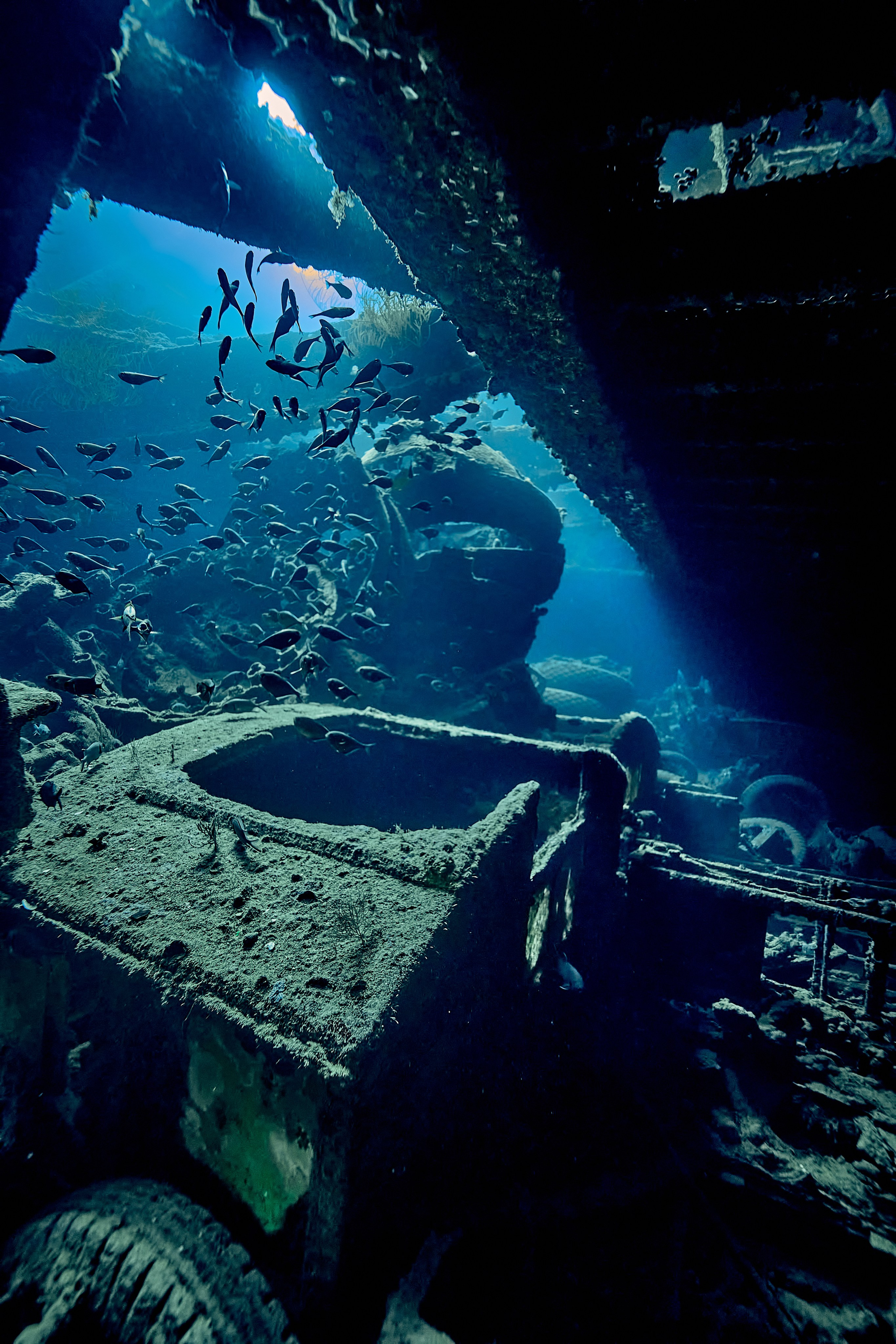Underwater photographer Andriej Szypilow - photos of the mysterious SS Thistlegorm - sunken ship in the red sea