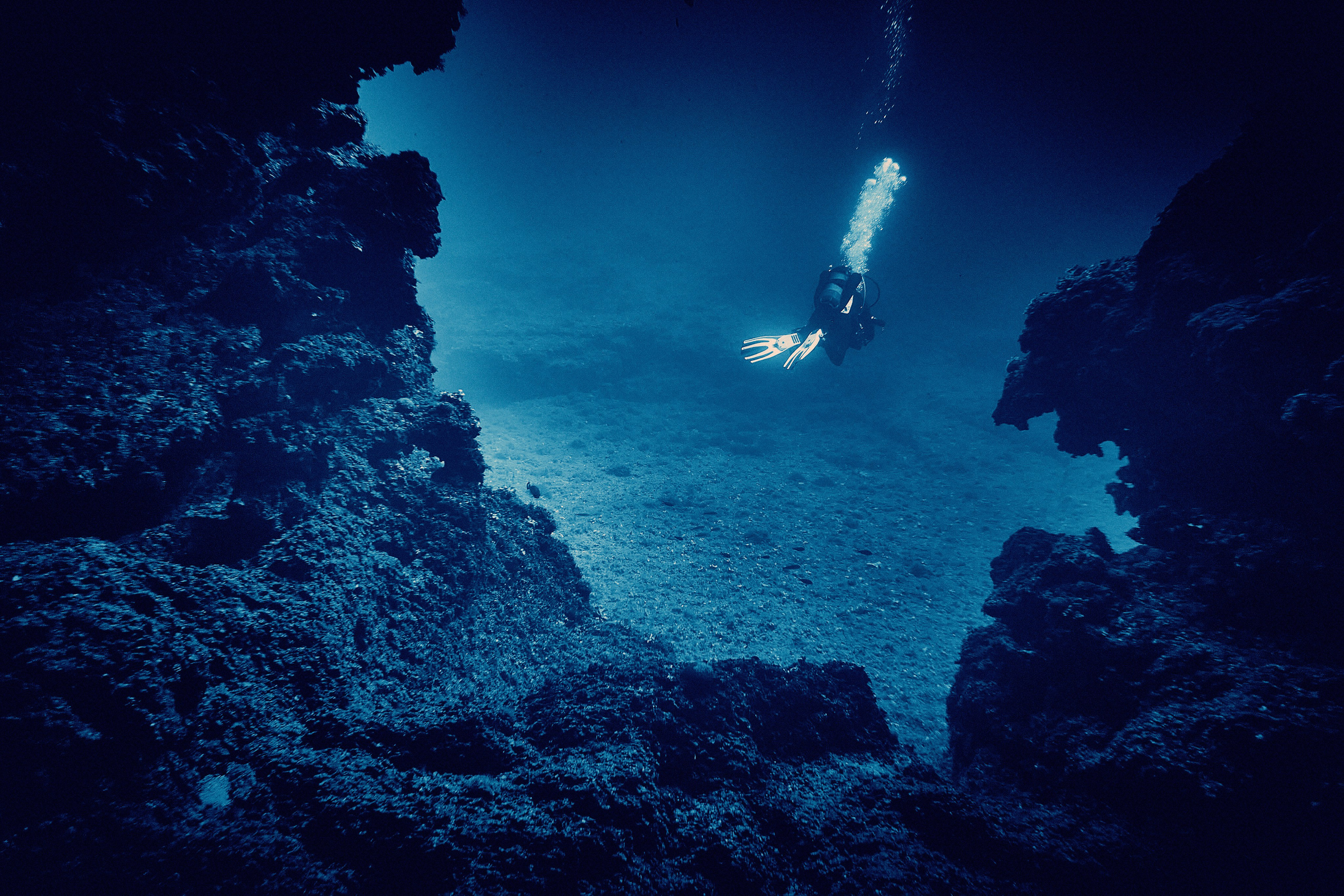 Fotograf podwodny Andriej Szypiłow. Андрей Шипилов — Фотография & Видеография