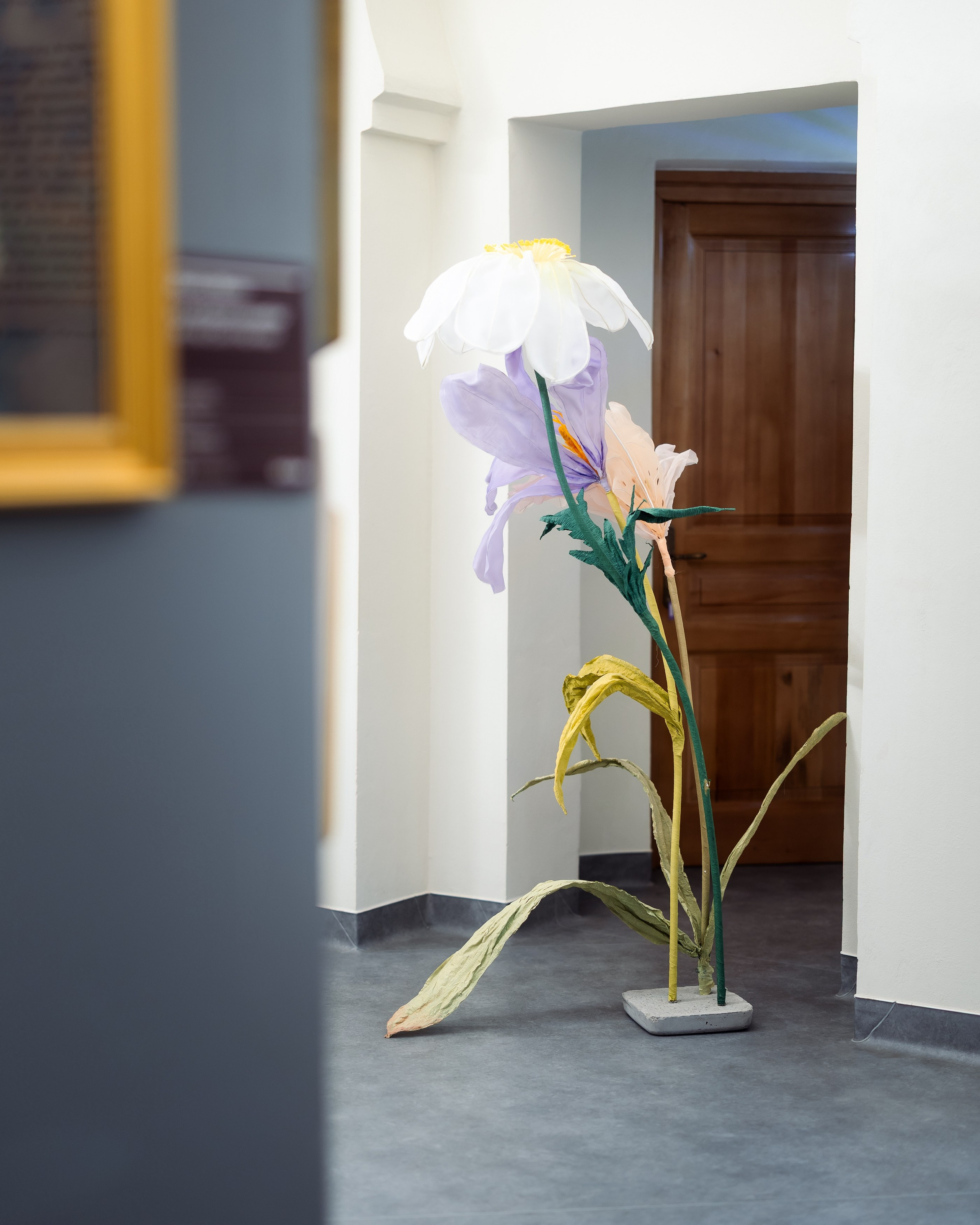 Regina Maria - Baia Turceasca. Marius Ciocan