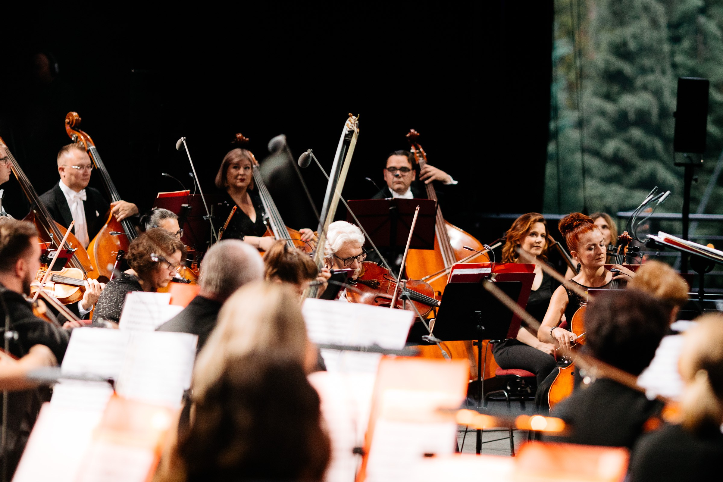 Opera Leśna Koncert. Fotograf Ślubny Warszawa - Sesje Biznesowe Rodzinne Eventy