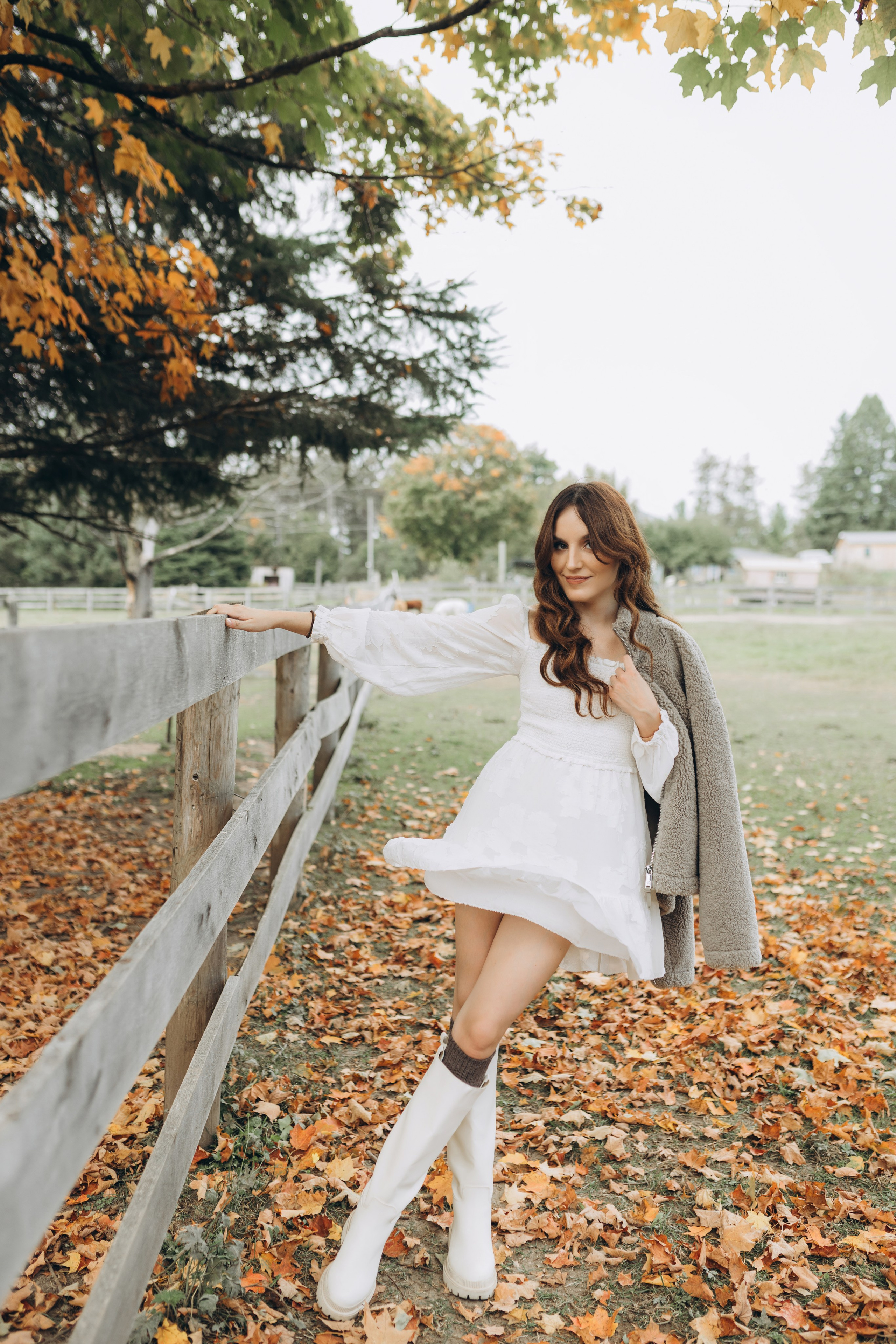 Alpacas Farm. Chernenko.photography