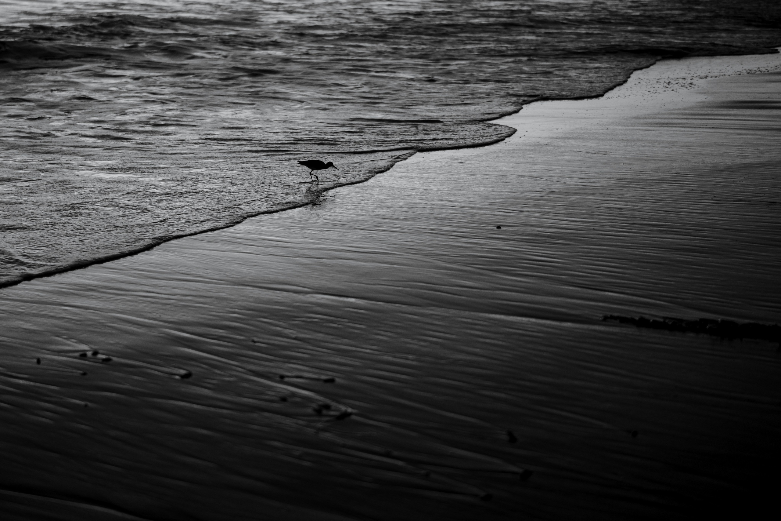 N & K. Orange County Wedding Photographer & Videographer | Candid & Timeless Wedding Photo + Video | Italiantsev