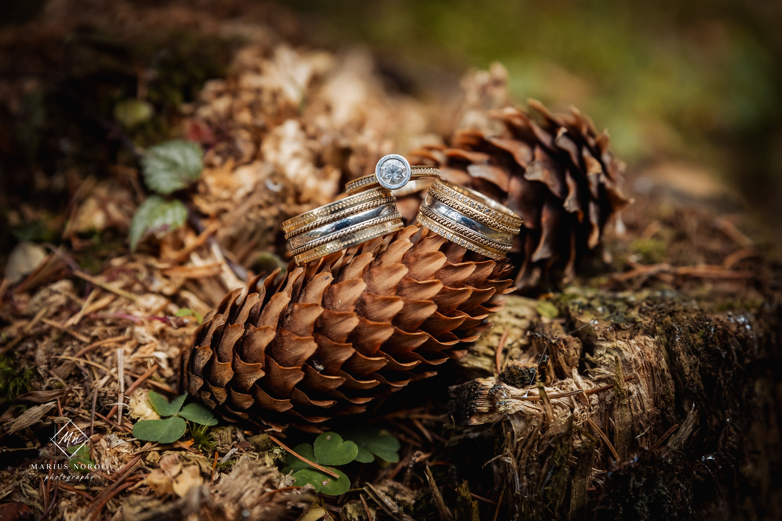 Elena & Alexandru | Lacul Iezer Sadova