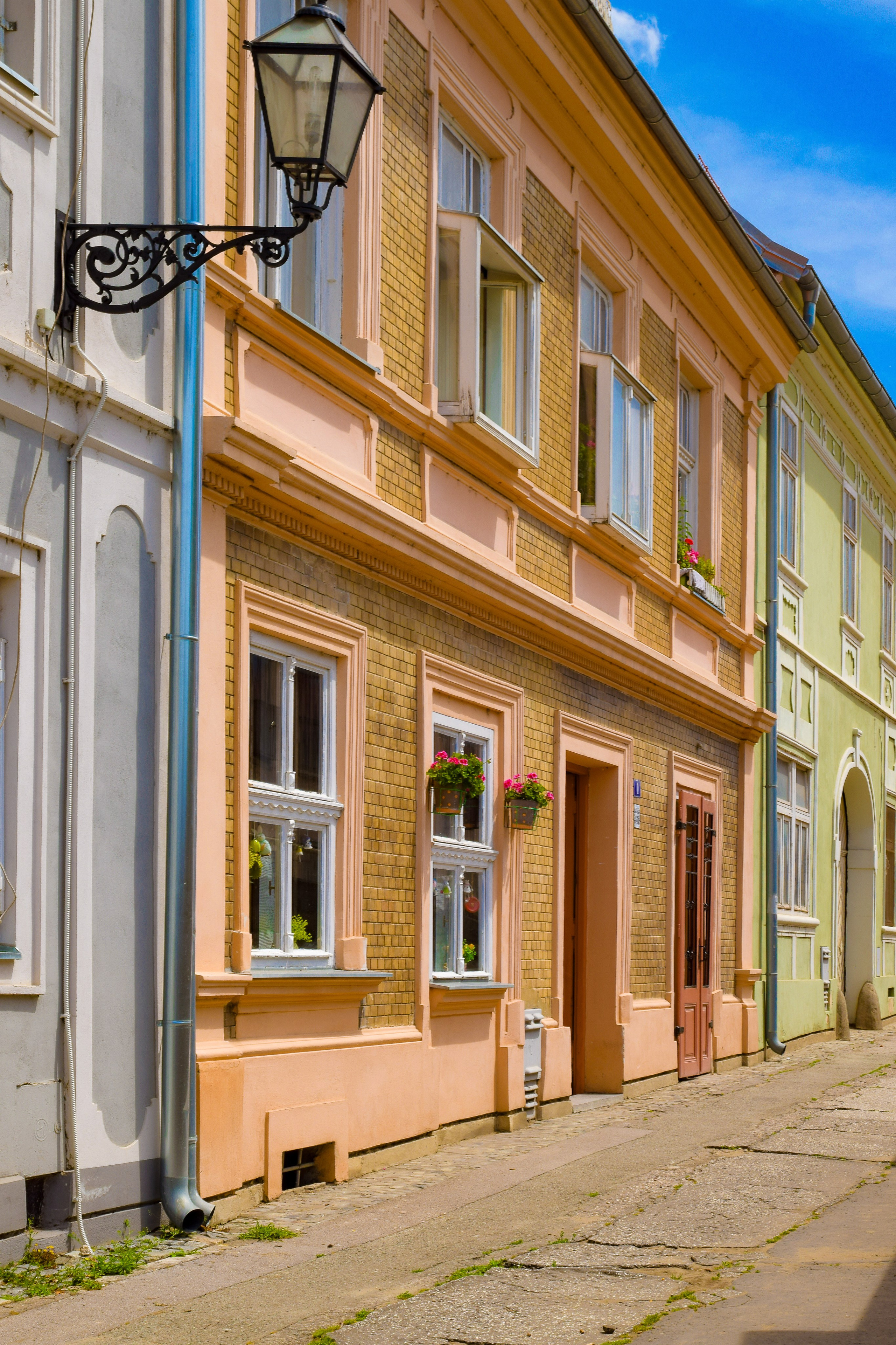 Петроварадин - галерија на продају. Викторија Федосеенко, фотограф у Србији