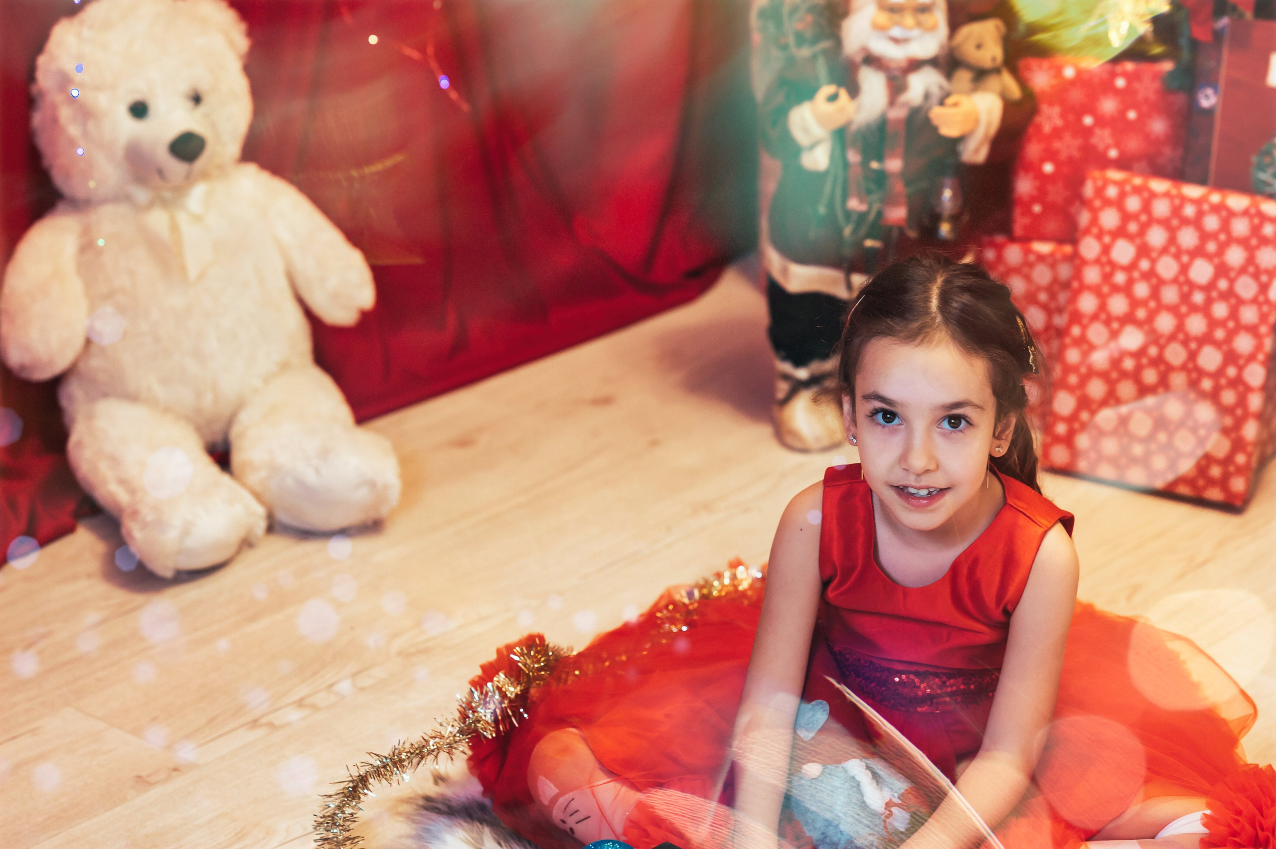 Sedinta Craciun Sofia