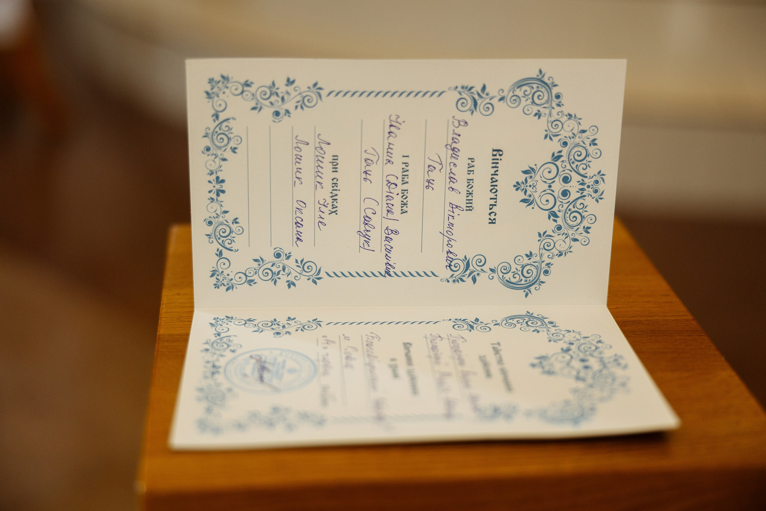 Diana Vlad. Ірина Терещук