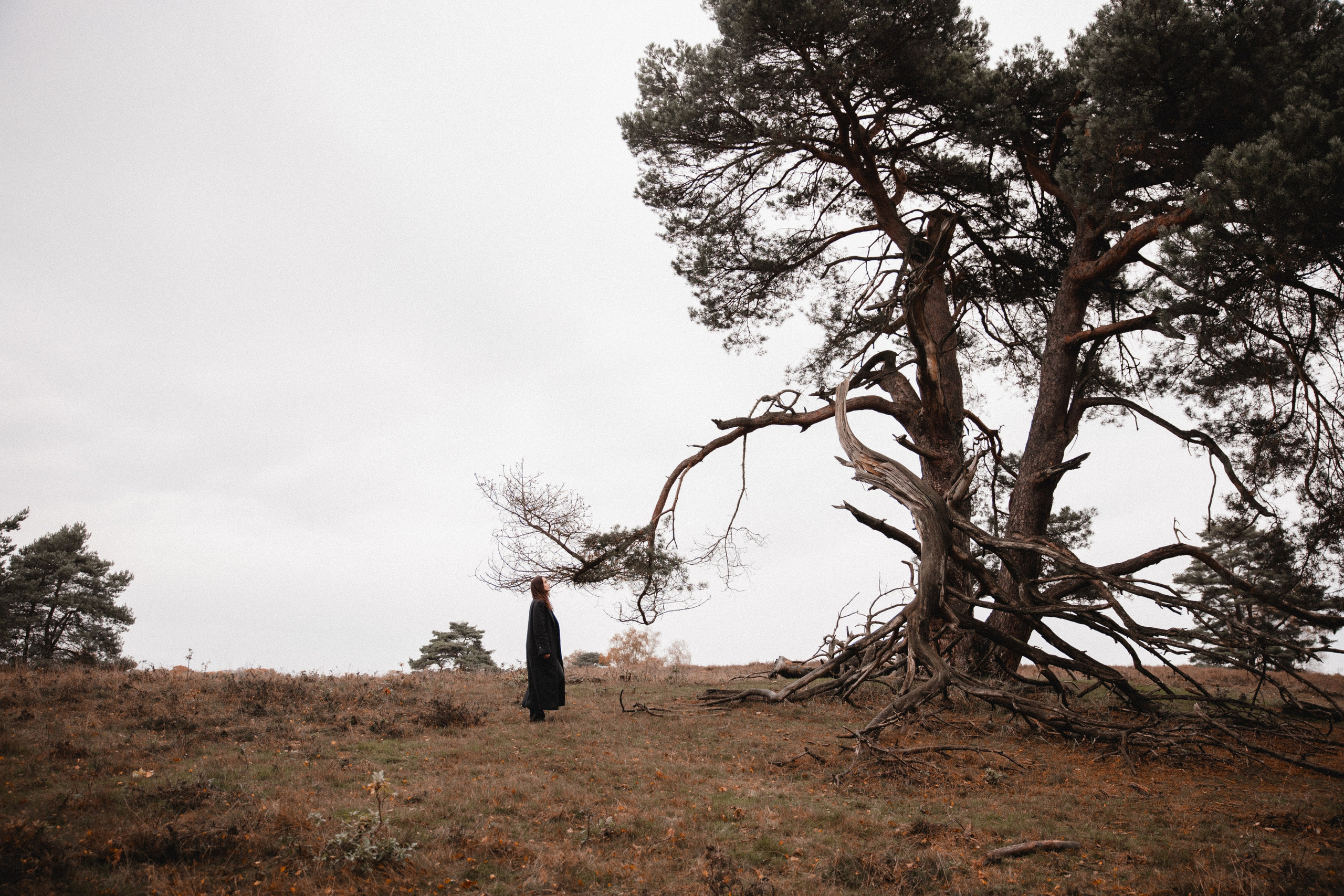 Victoria I Westruper Heide. Hochzeitsfotografin Bochum | Halyna Reiche Fotografie NRW