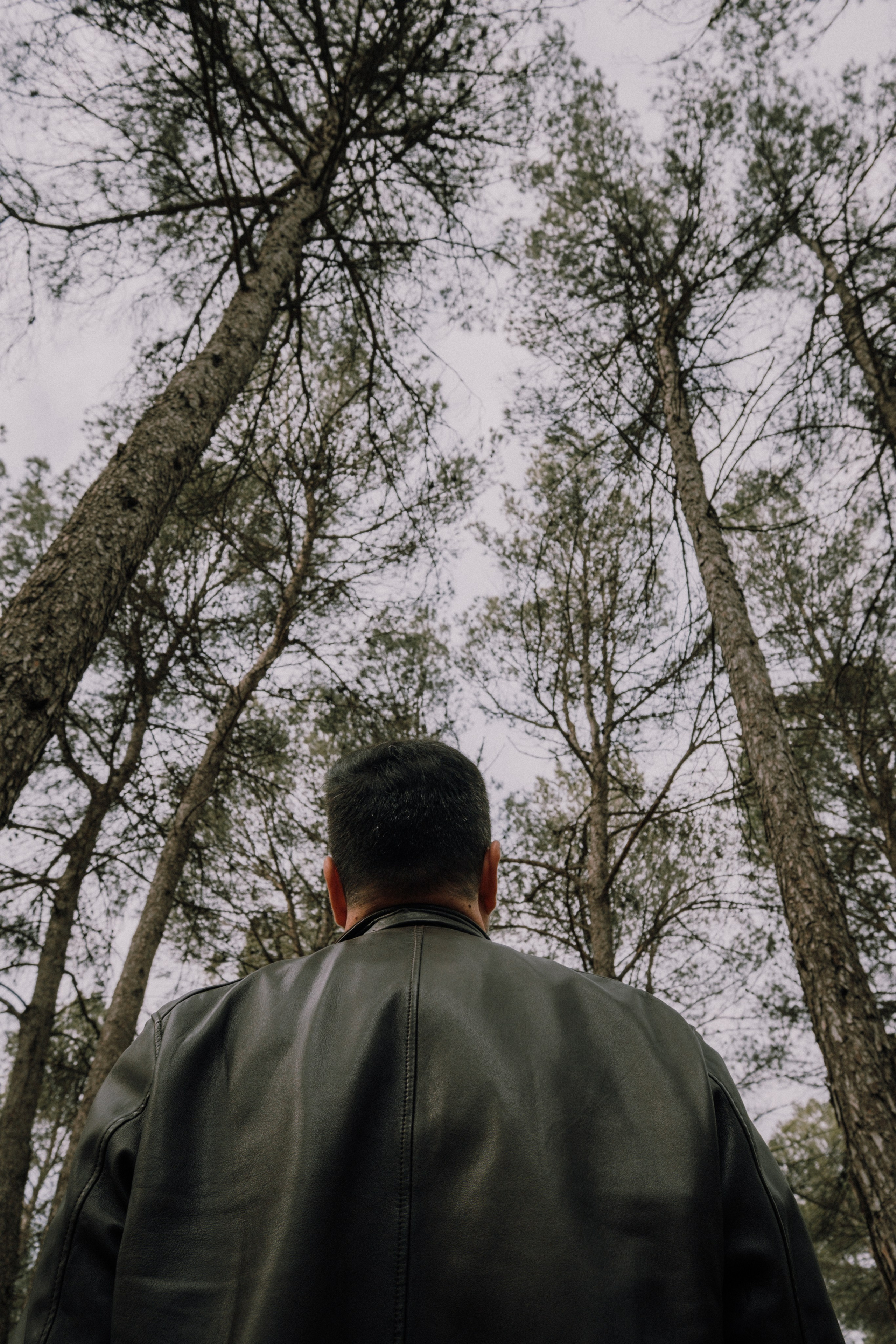 Sesión familiar en el bosque. Fotografía profesional en Calafell - Elena Medvedeva
