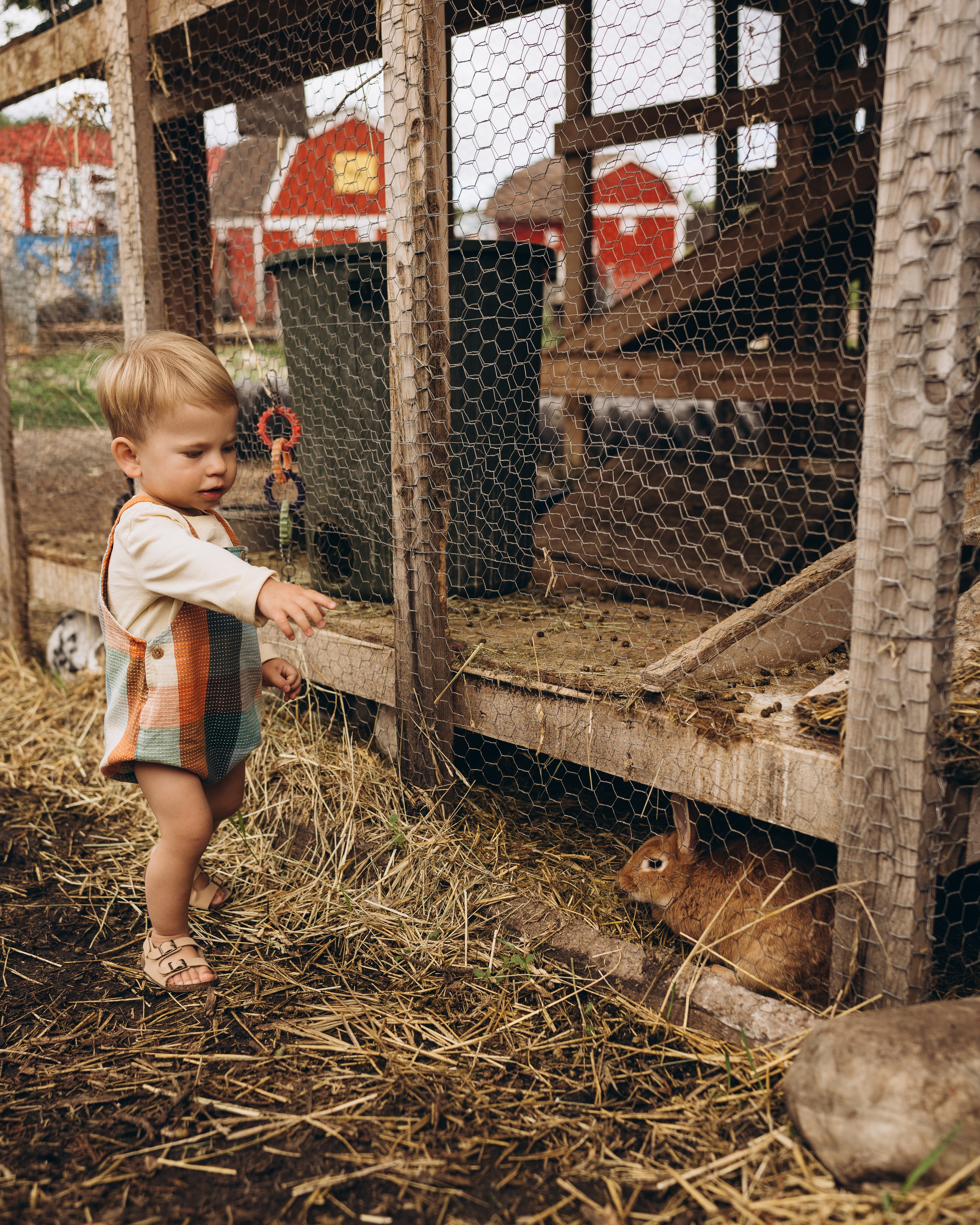 Lev. Calgary Wedding & Lifestyle Photographer — Yevhen Polishchuk