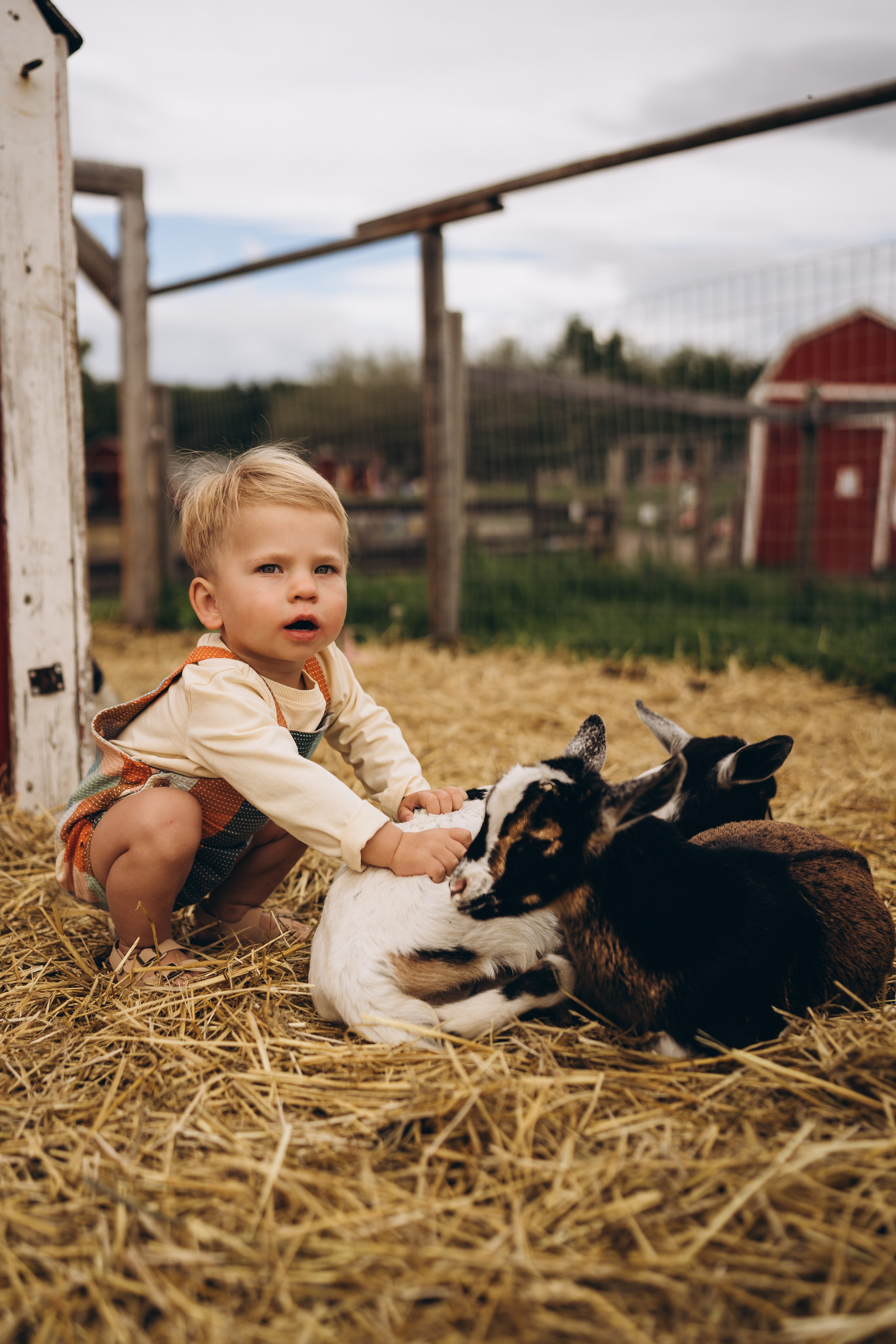 Lev. Calgary Wedding & Lifestyle Photographer — Yevhen Polishchuk