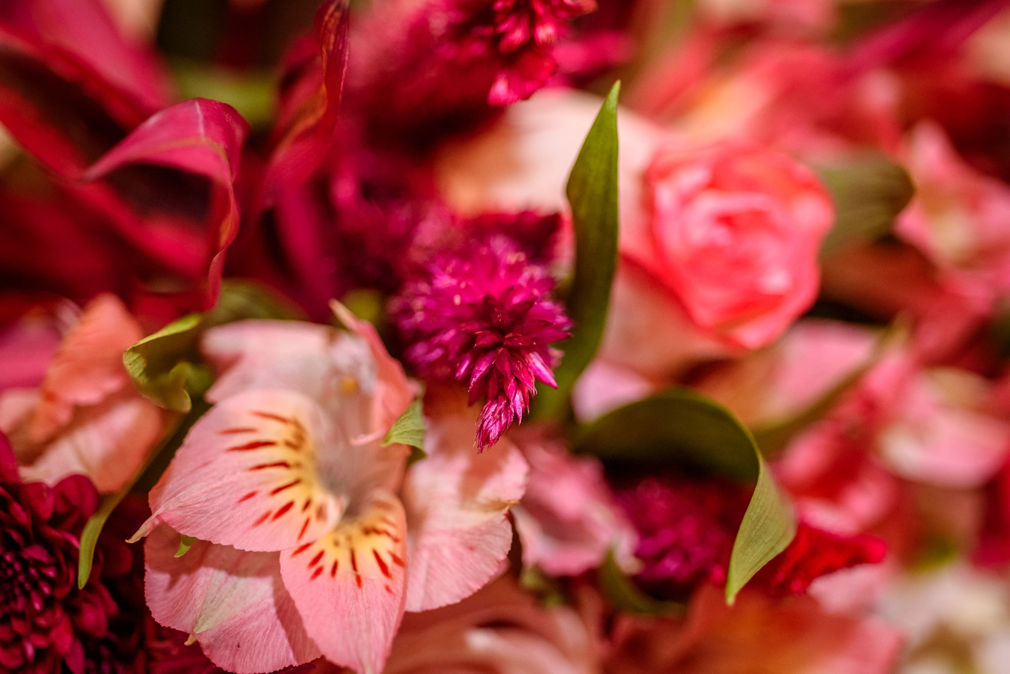 Malu e Felipe. Fotografia de casamentos e ensaios em avaré Jônata Oliveira