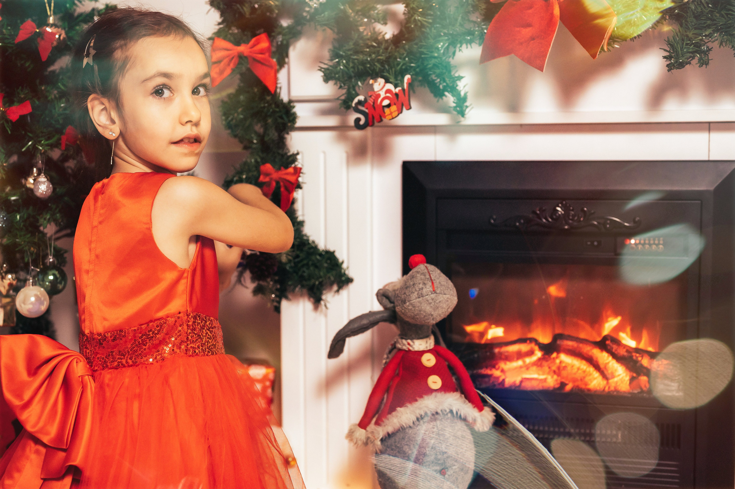 Sedinta Craciun Sofia