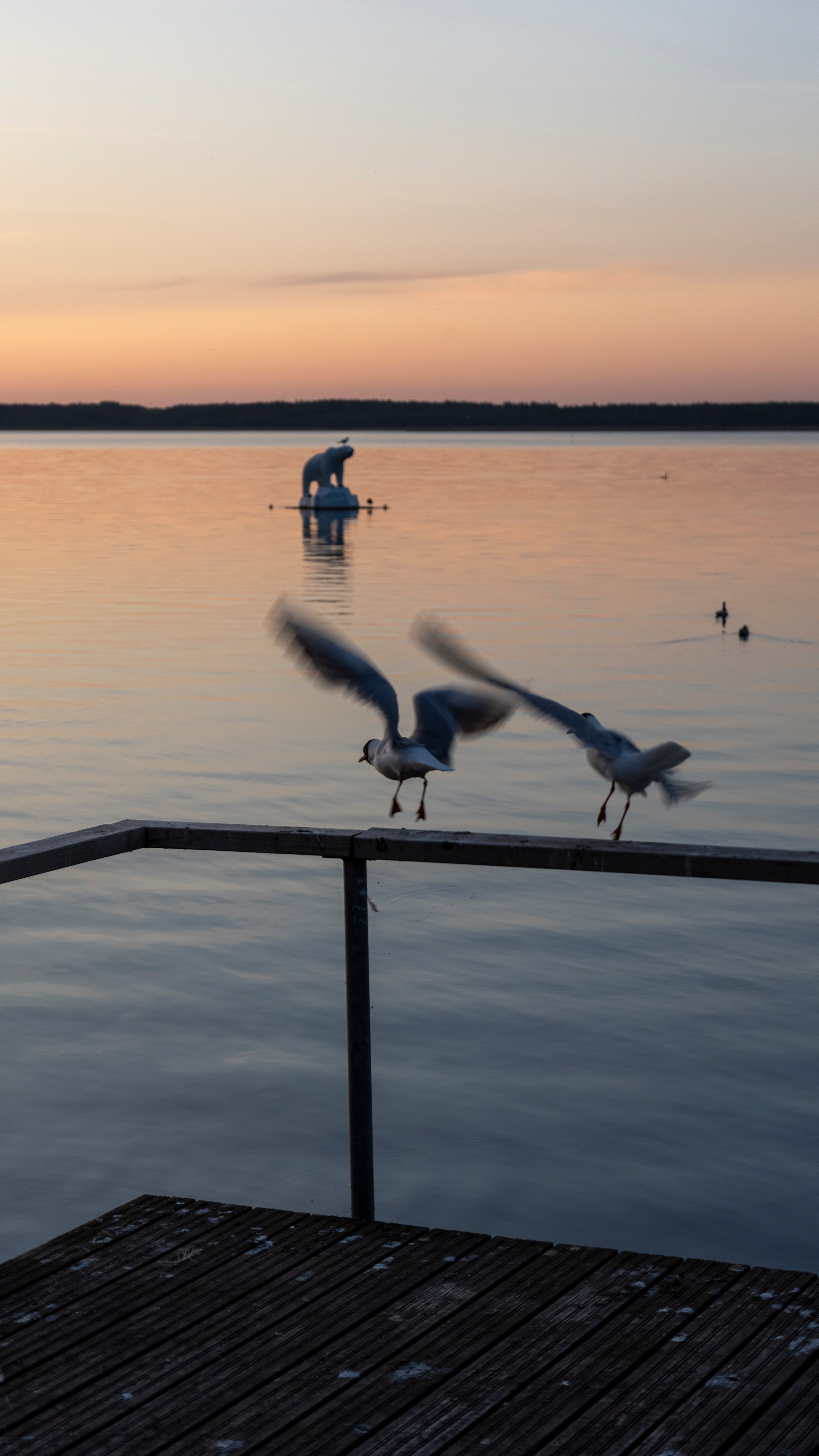 Whispers of Estonia. Photography | Videography | Marketing