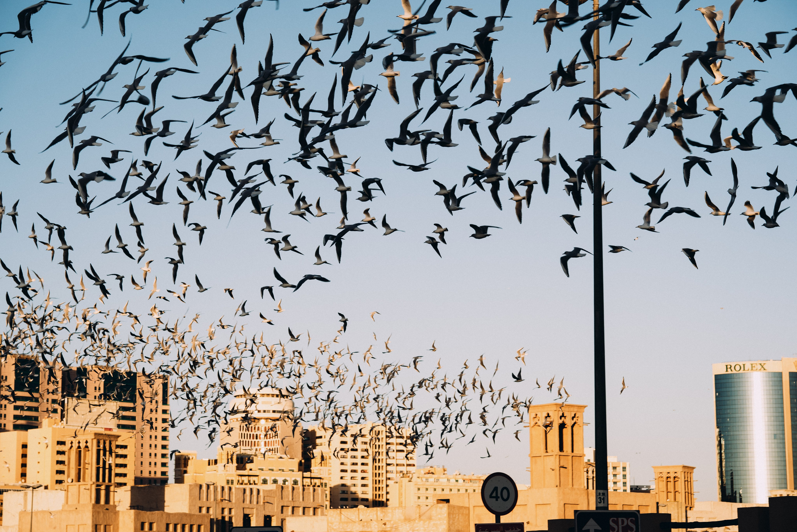 Old Village Walk. Elena Pretzner Photography